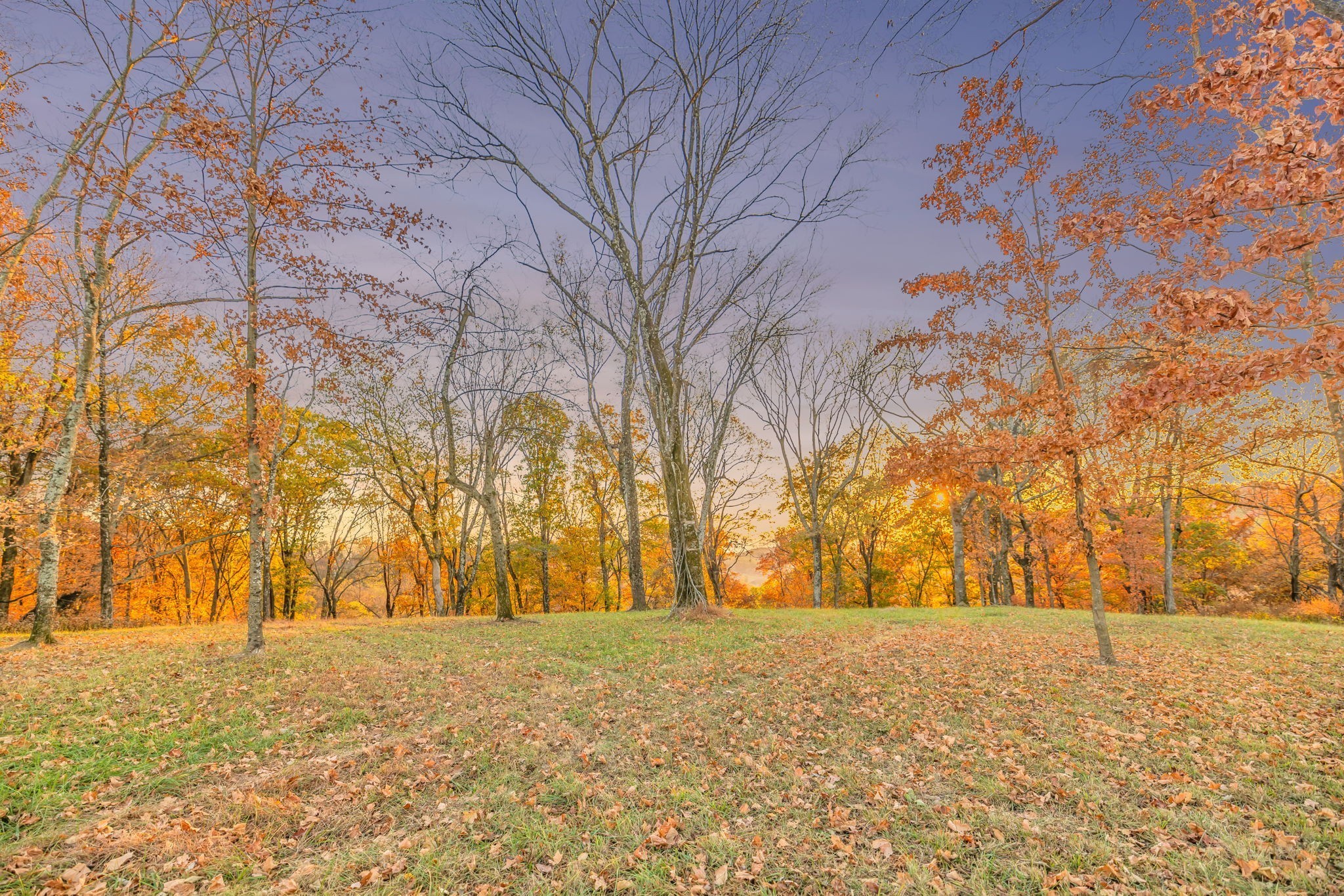 0 Burke Hollow Road Tract 1 Nolensville TN 37135
