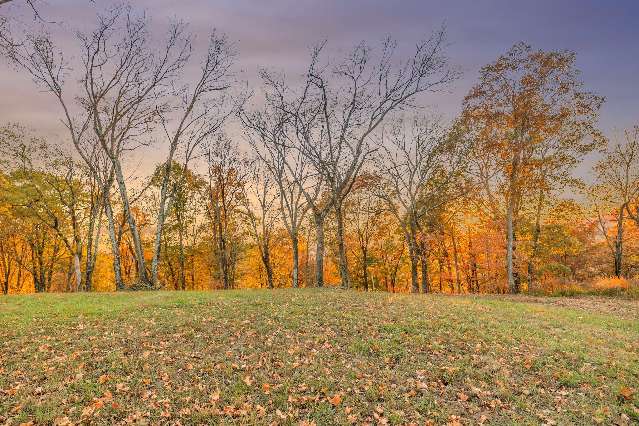 0 Burke Hollow Road Tract 1 Nolensville TN 37135