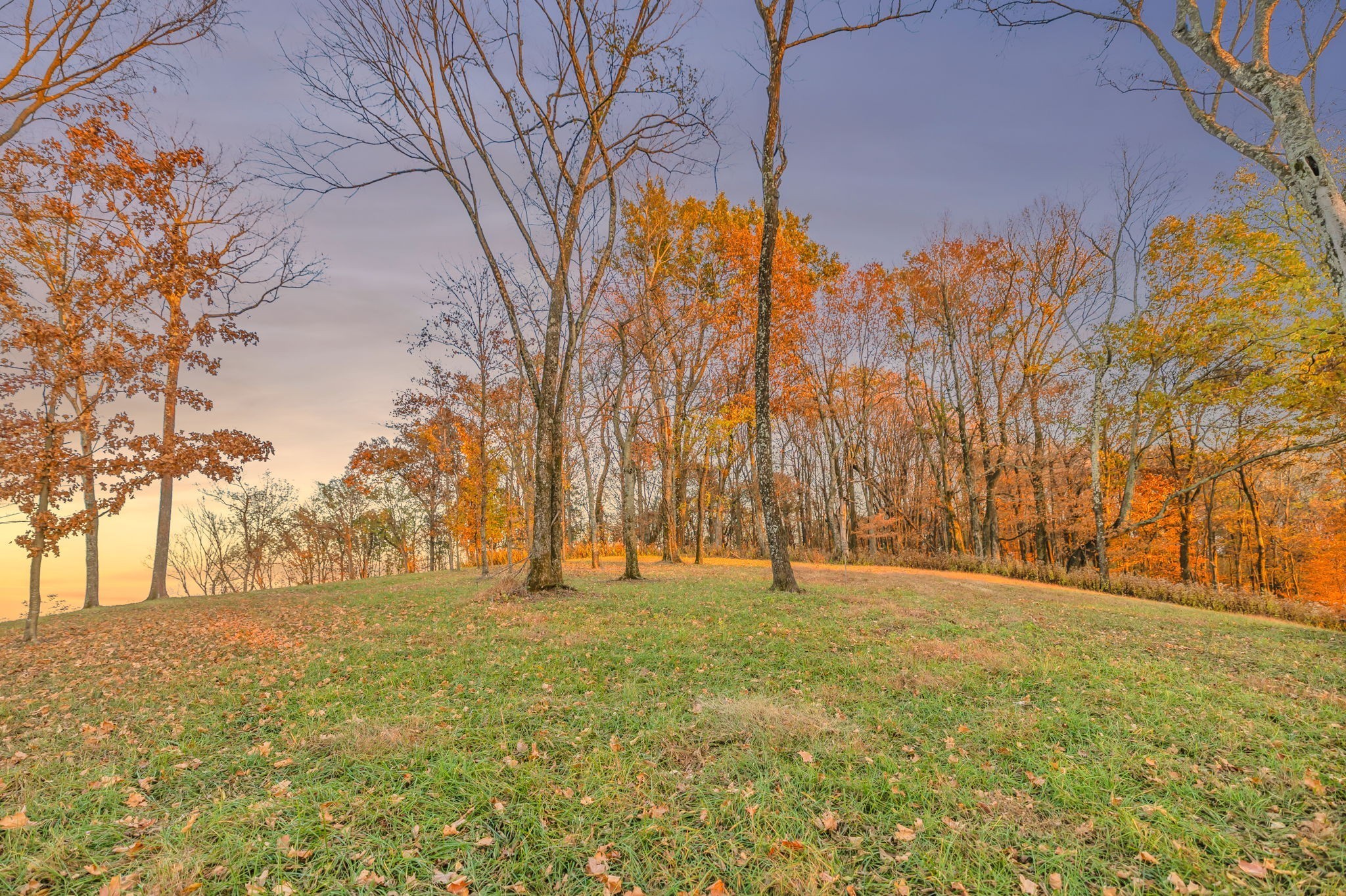 0 Burke Hollow Road Tract 1 Nolensville TN 37135