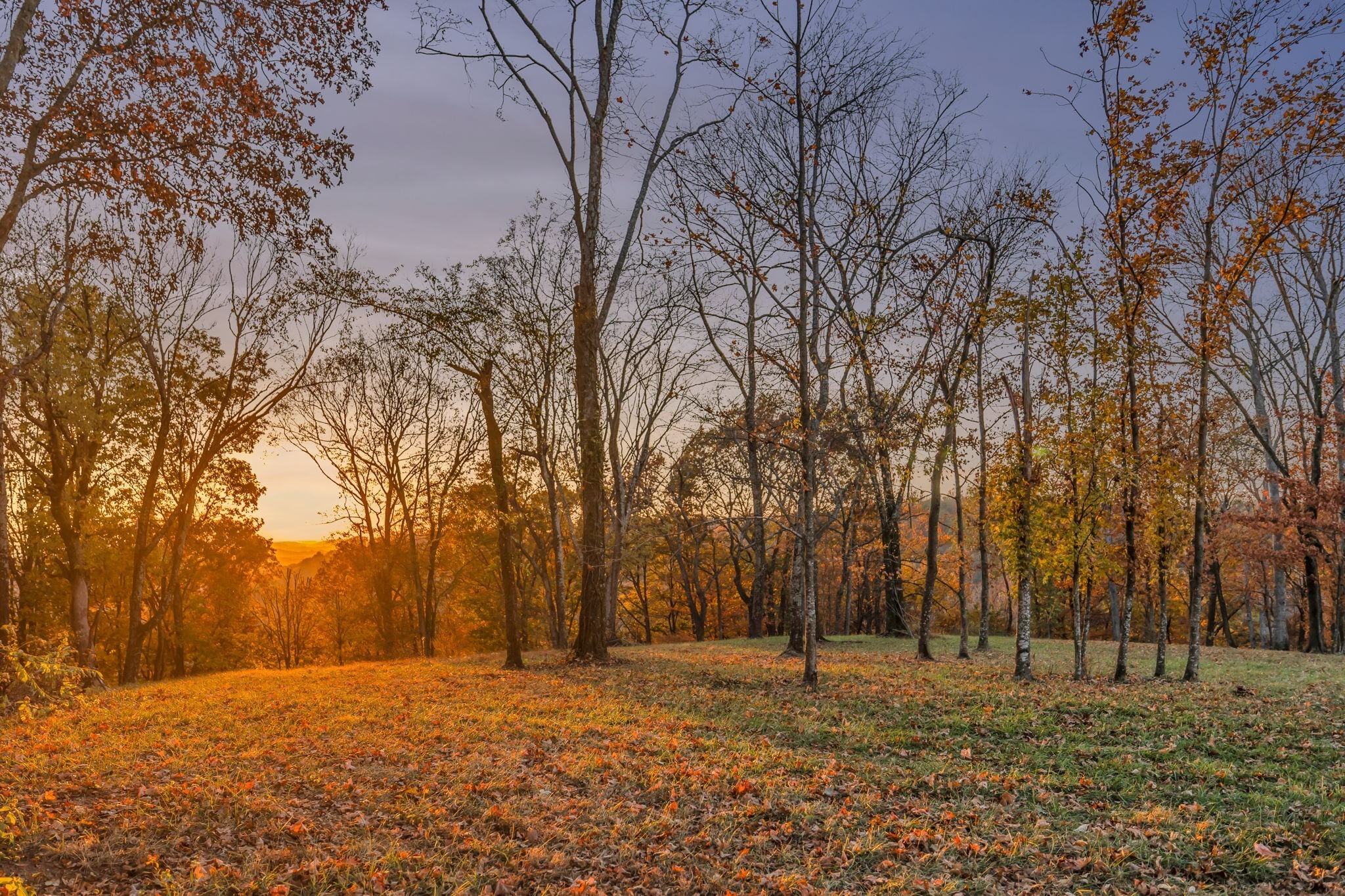 0 Burke Hollow Road Tract 1 Nolensville TN 37135
