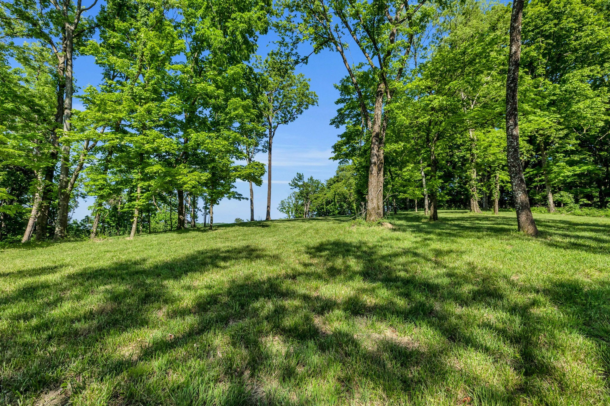 0 Burke Hollow Road Tract 1 Nolensville TN 37135