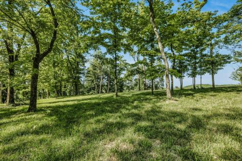 0 Burke Hollow Road Tract 1 Nolensville TN 37135