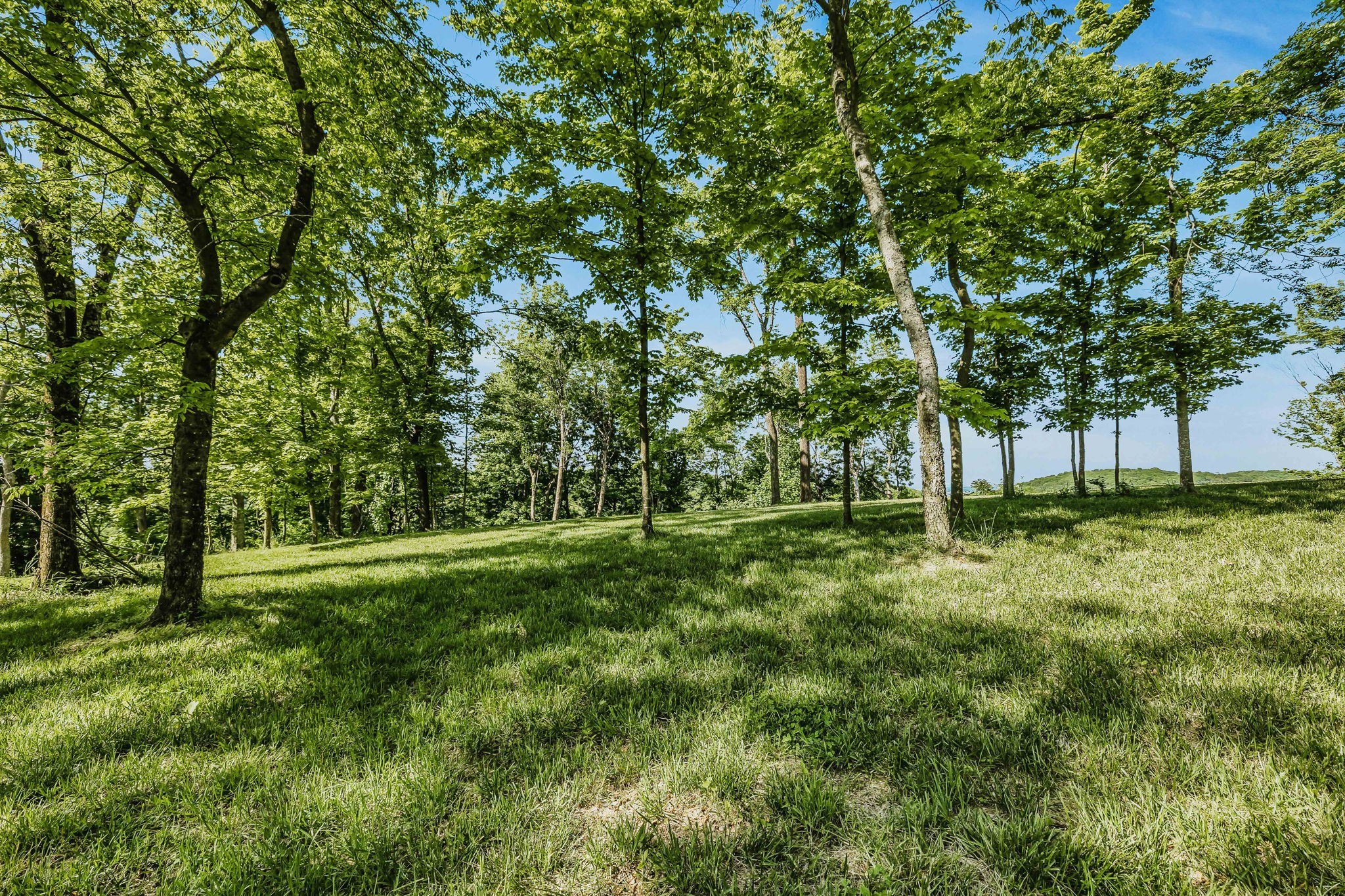 0 Burke Hollow Road Tract 1 Nolensville TN 37135