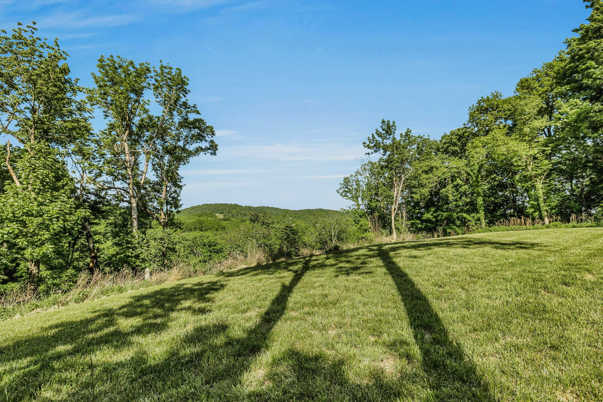 0 Burke Hollow Road Tract 1 Nolensville TN 37135
