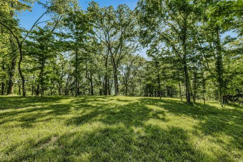 0 Burke Hollow Road Tract 1 Nolensville TN 37135
