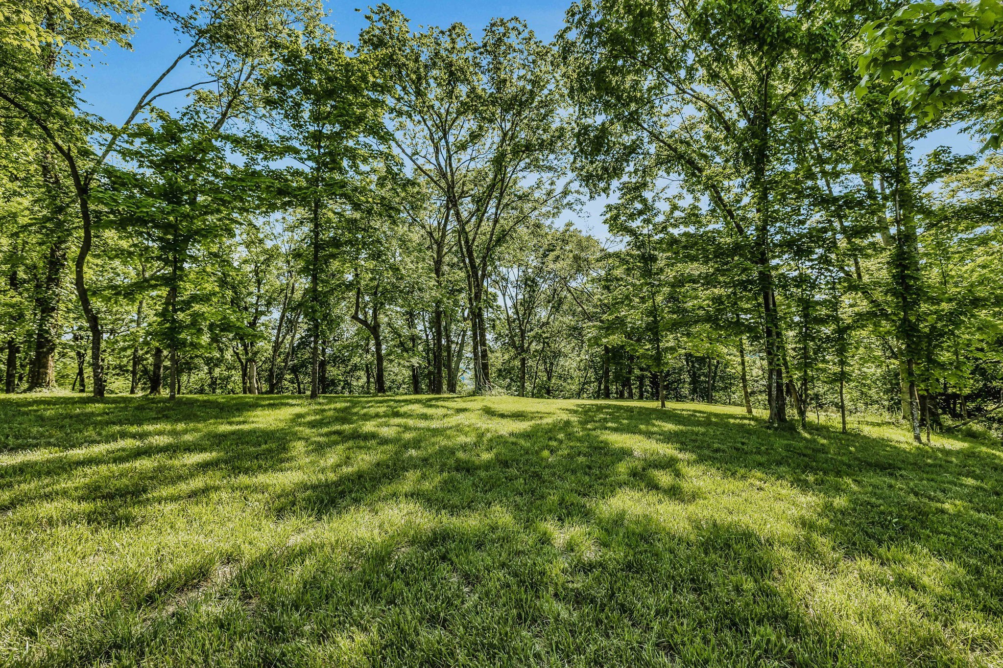 0 Burke Hollow Road Tract 1 Nolensville TN 37135
