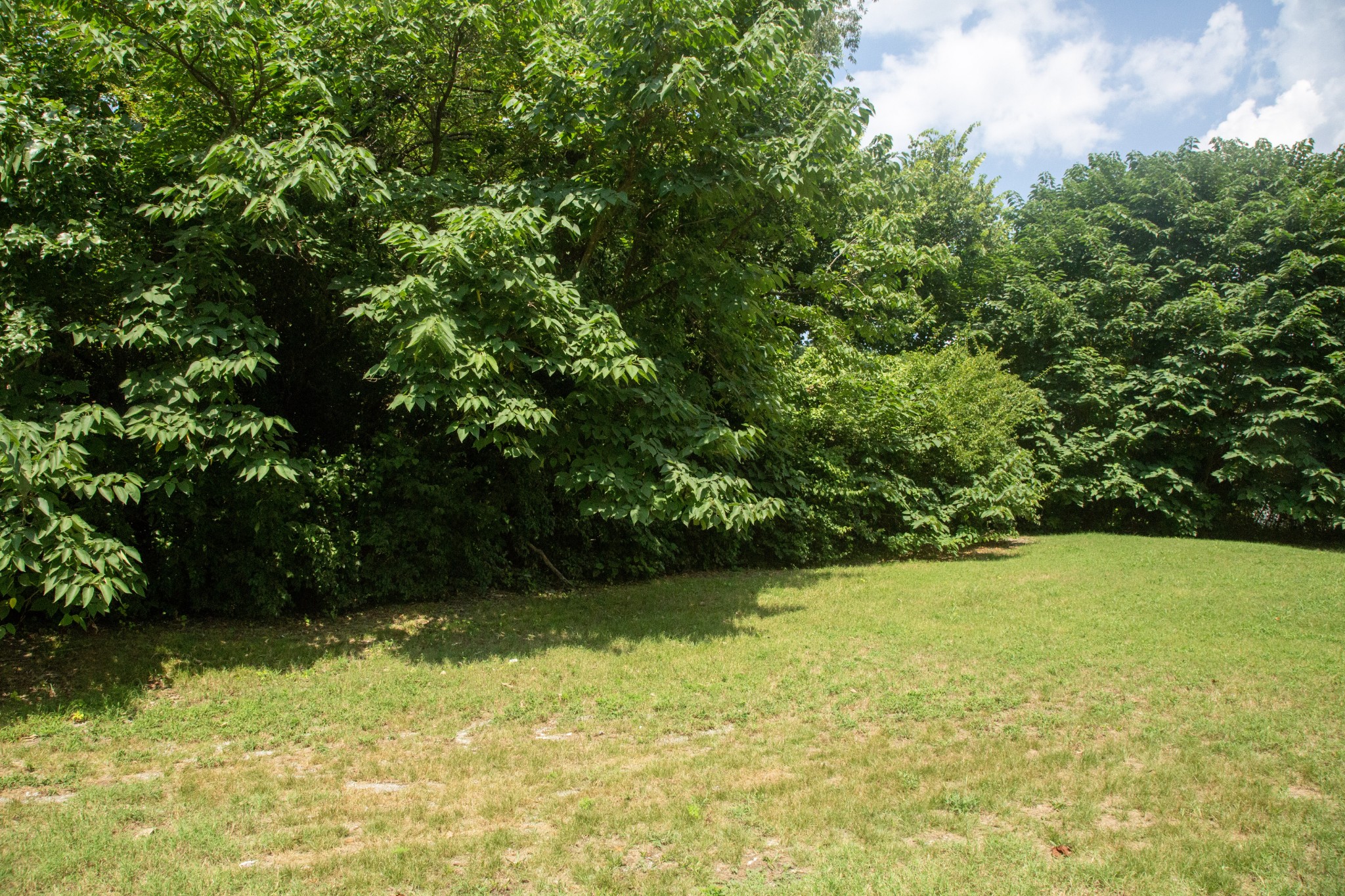 227 Dorothy Jordan Avenue Gallatin TN 37066