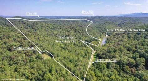 1125 Scenic River Road 71.67 Acres Madisonville TN 37354