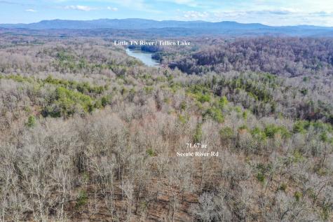 1125 Scenic River Road 71.67 Acres Madisonville TN 37354