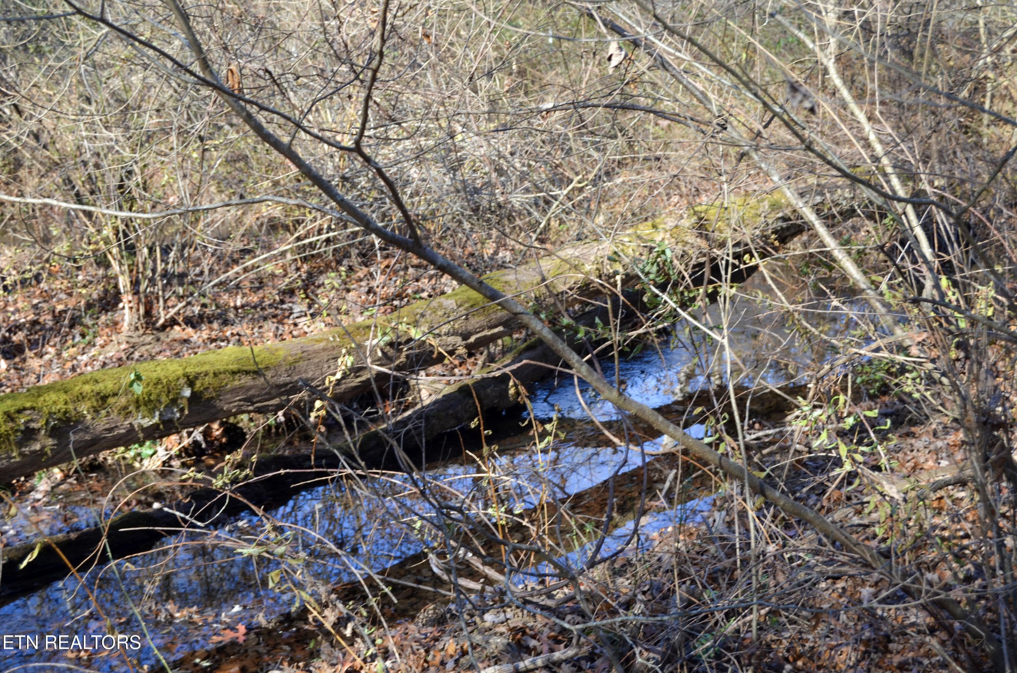0 Sparta Highway 63.3 Acres Crossville TN 38555