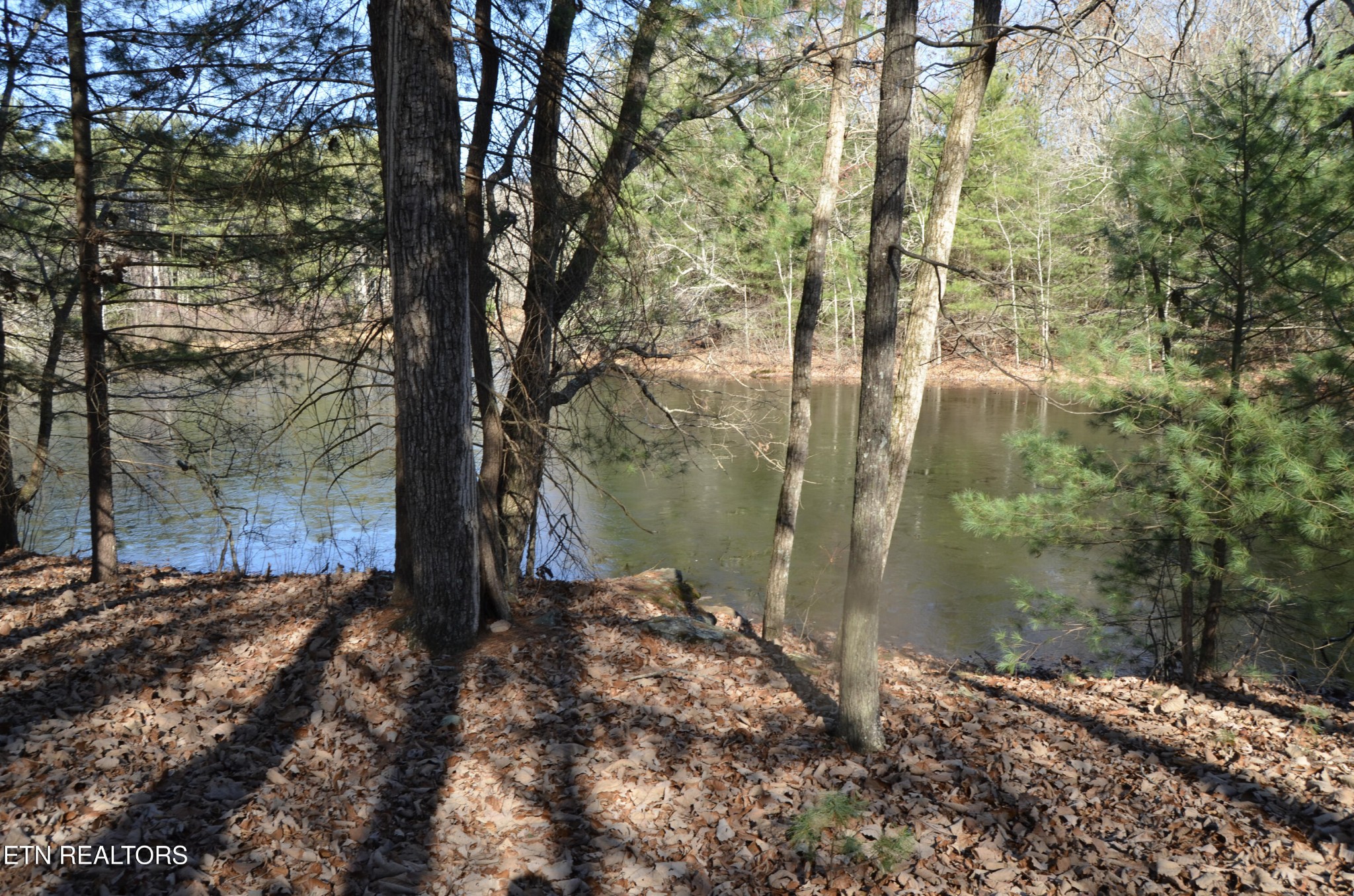 0 Sparta Highway 63.3 Acres Crossville TN 38555