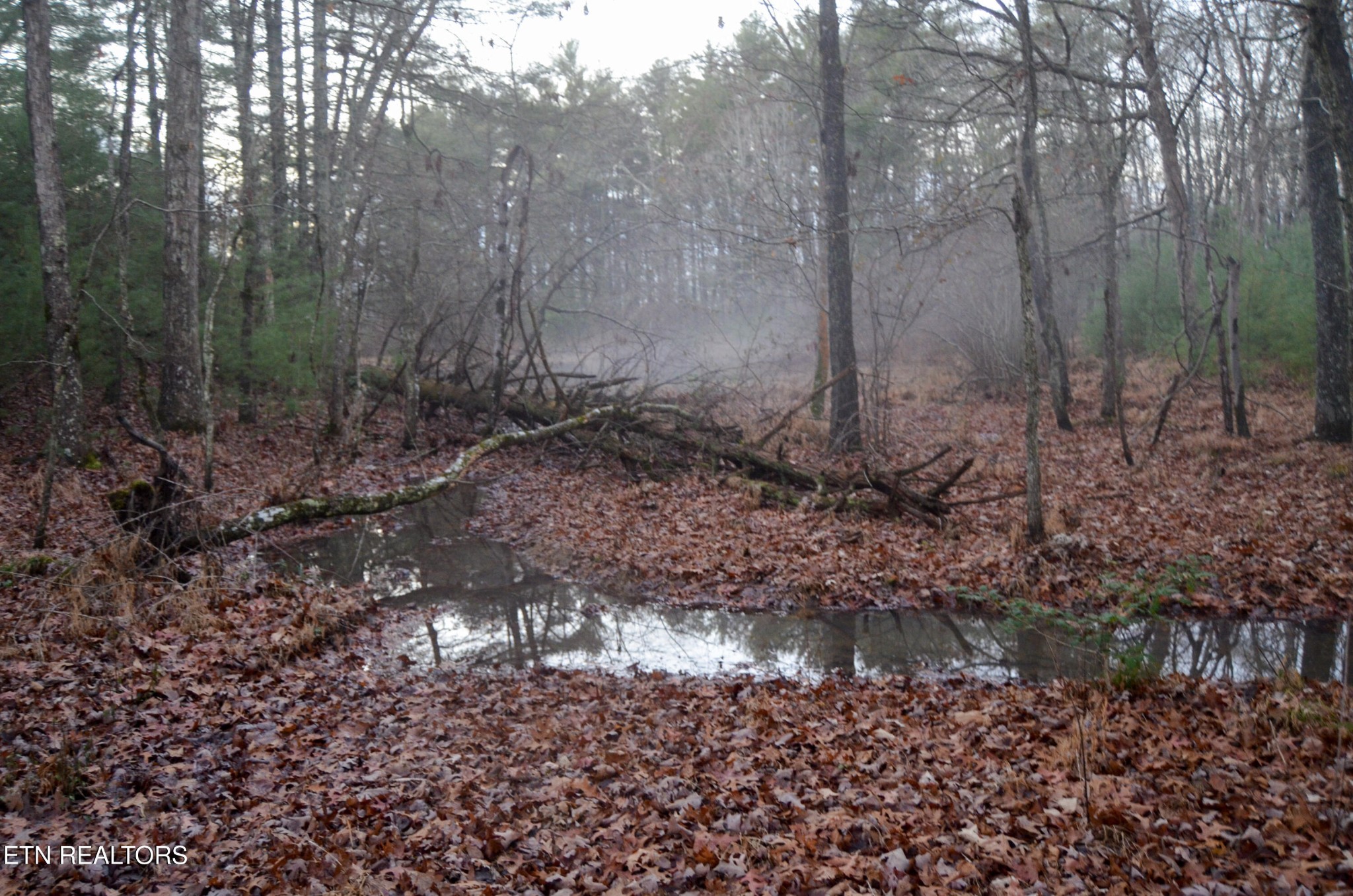 0 Sparta Highway 63.3 Acres Crossville TN 38555
