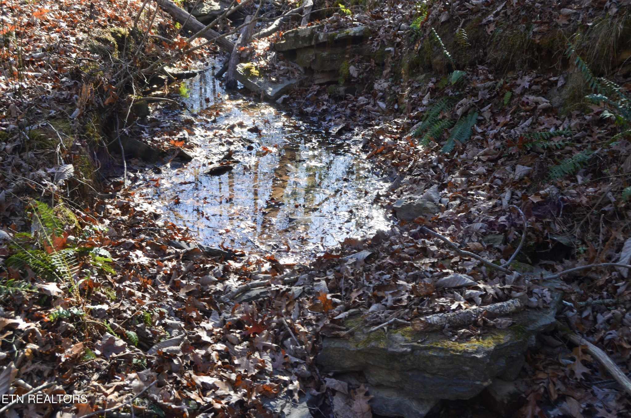 0 Sparta Highway 63.3 Acres Crossville TN 38555