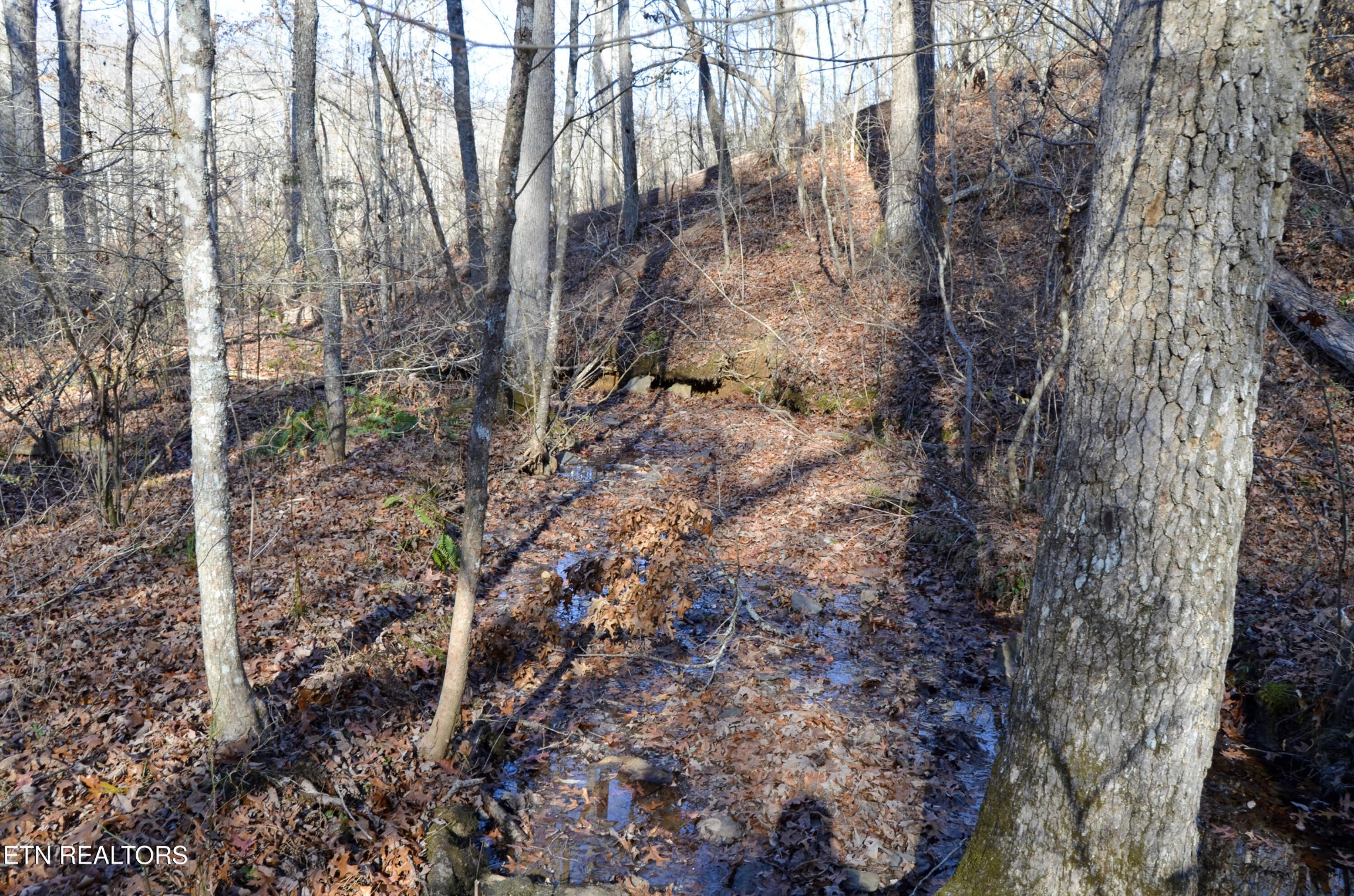 0 Sparta Highway 63.3 Acres Crossville TN 38555