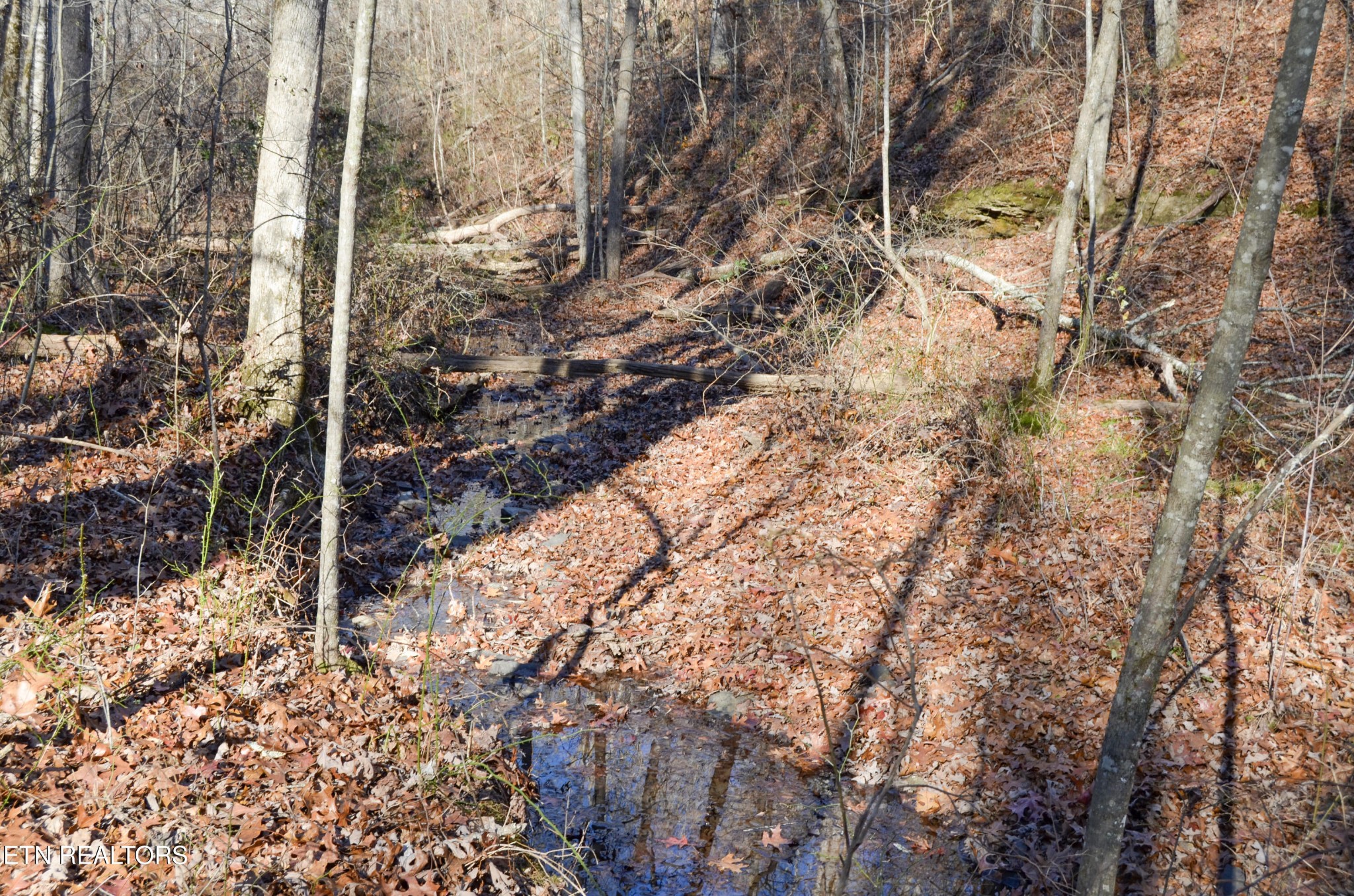 0 Sparta Highway 63.3 Acres Crossville TN 38555