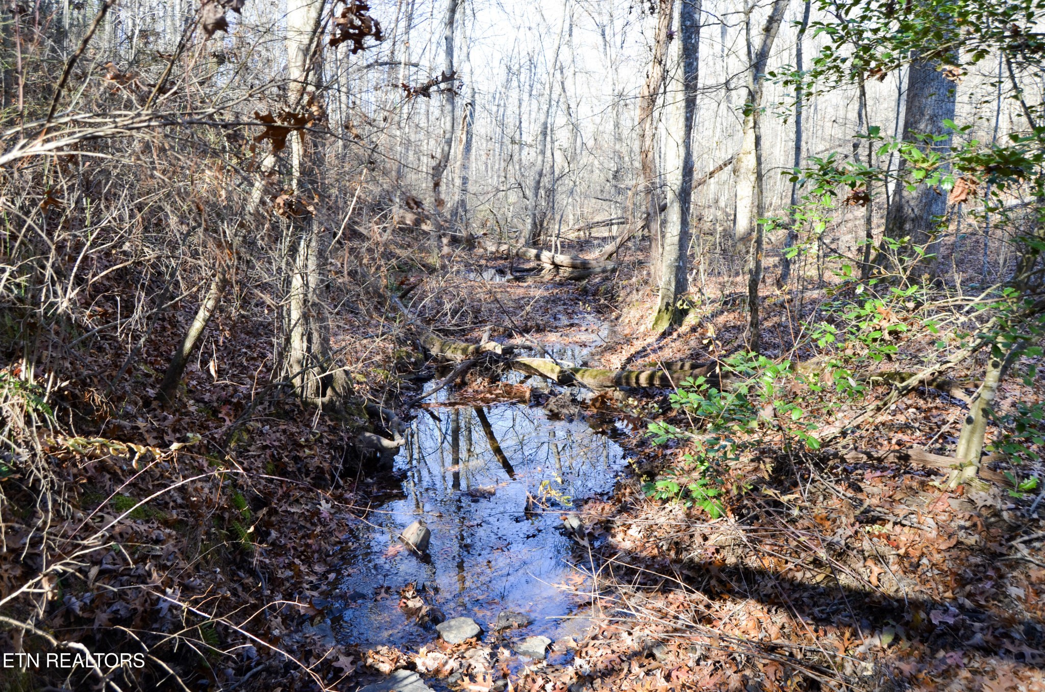 0 Sparta Highway 63.3 Acres Crossville TN 38555