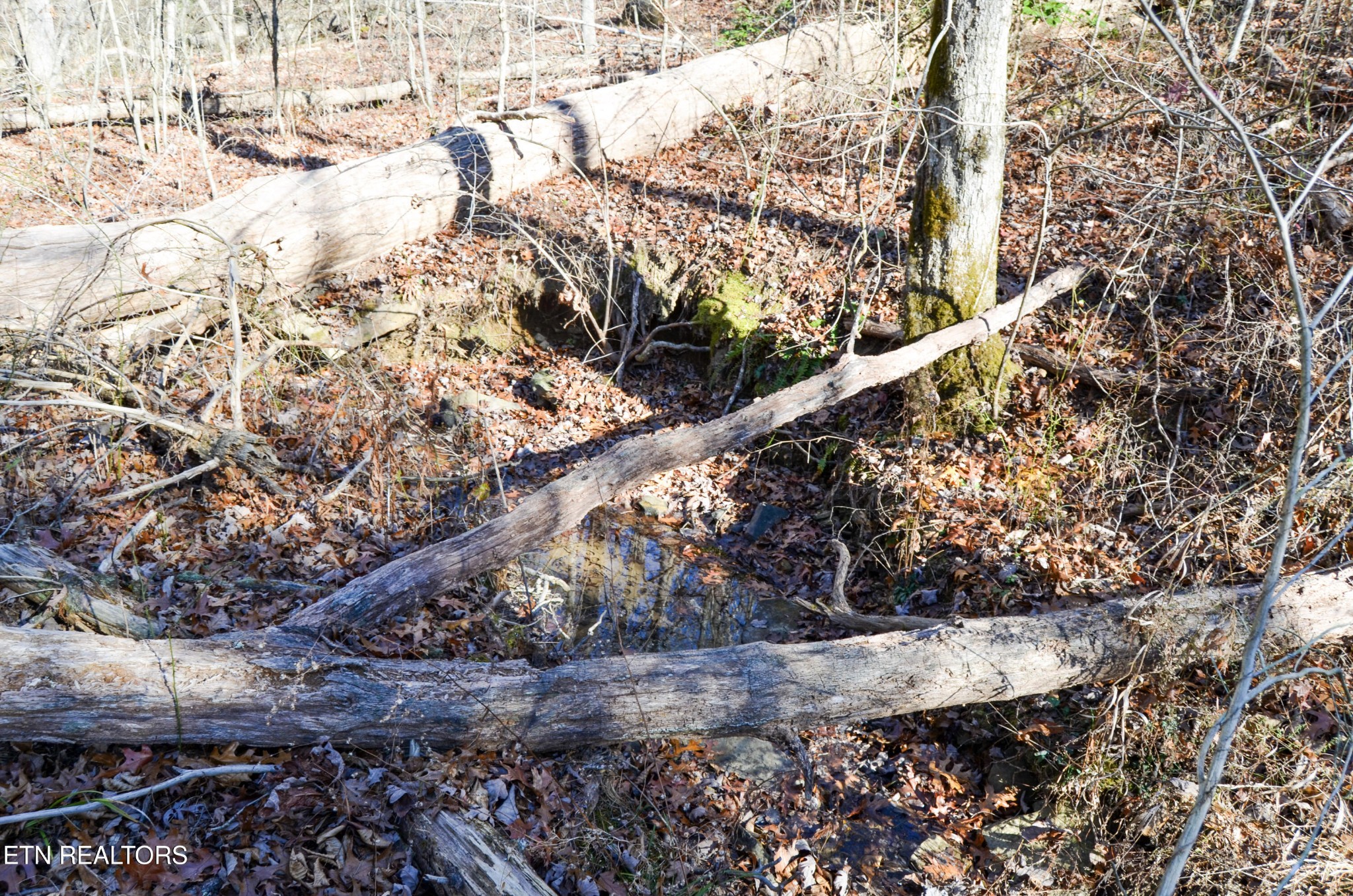 0 Sparta Highway 63.3 Acres Crossville TN 38555