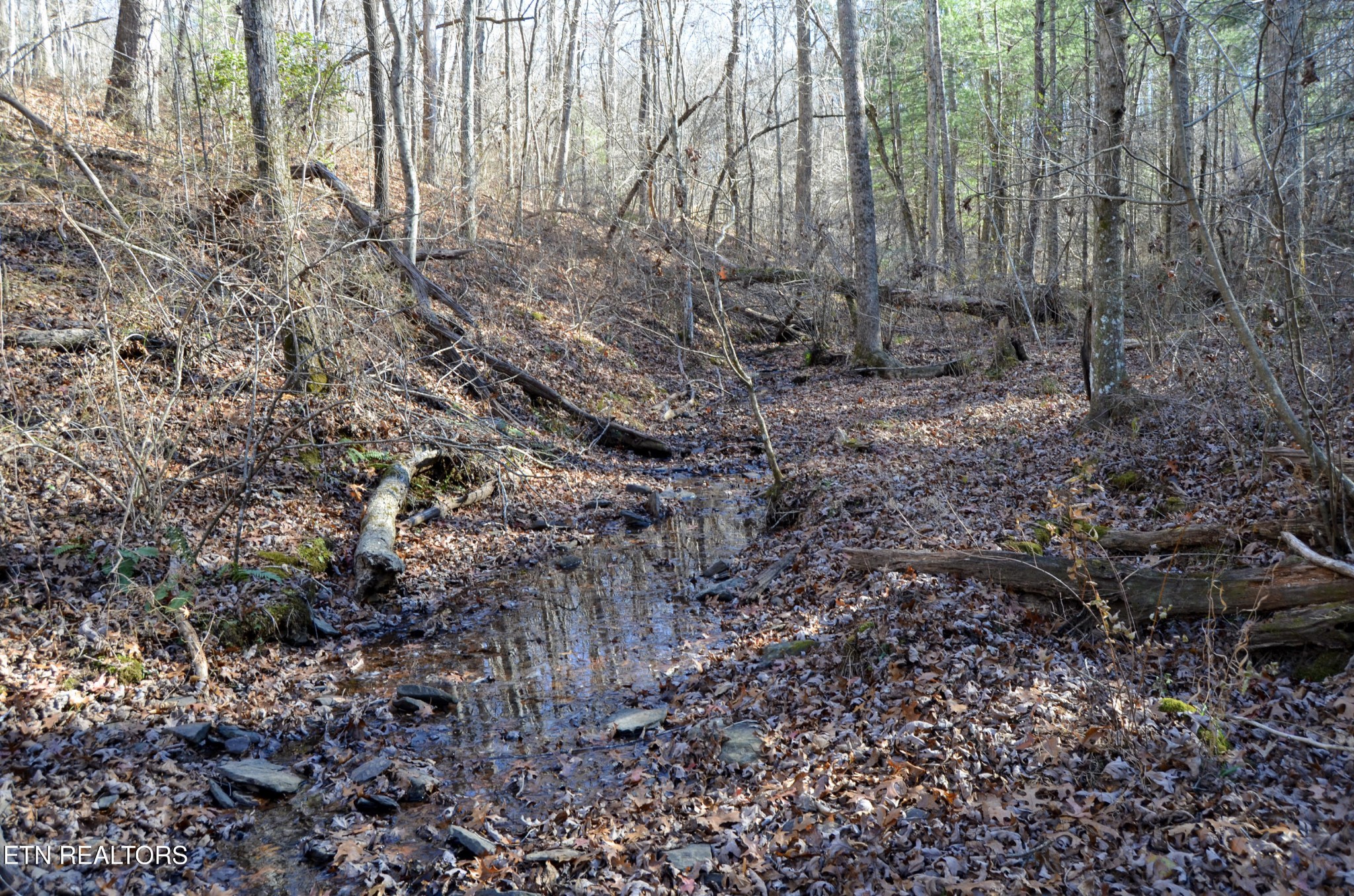 0 Sparta Highway 63.3 Acres Crossville TN 38555