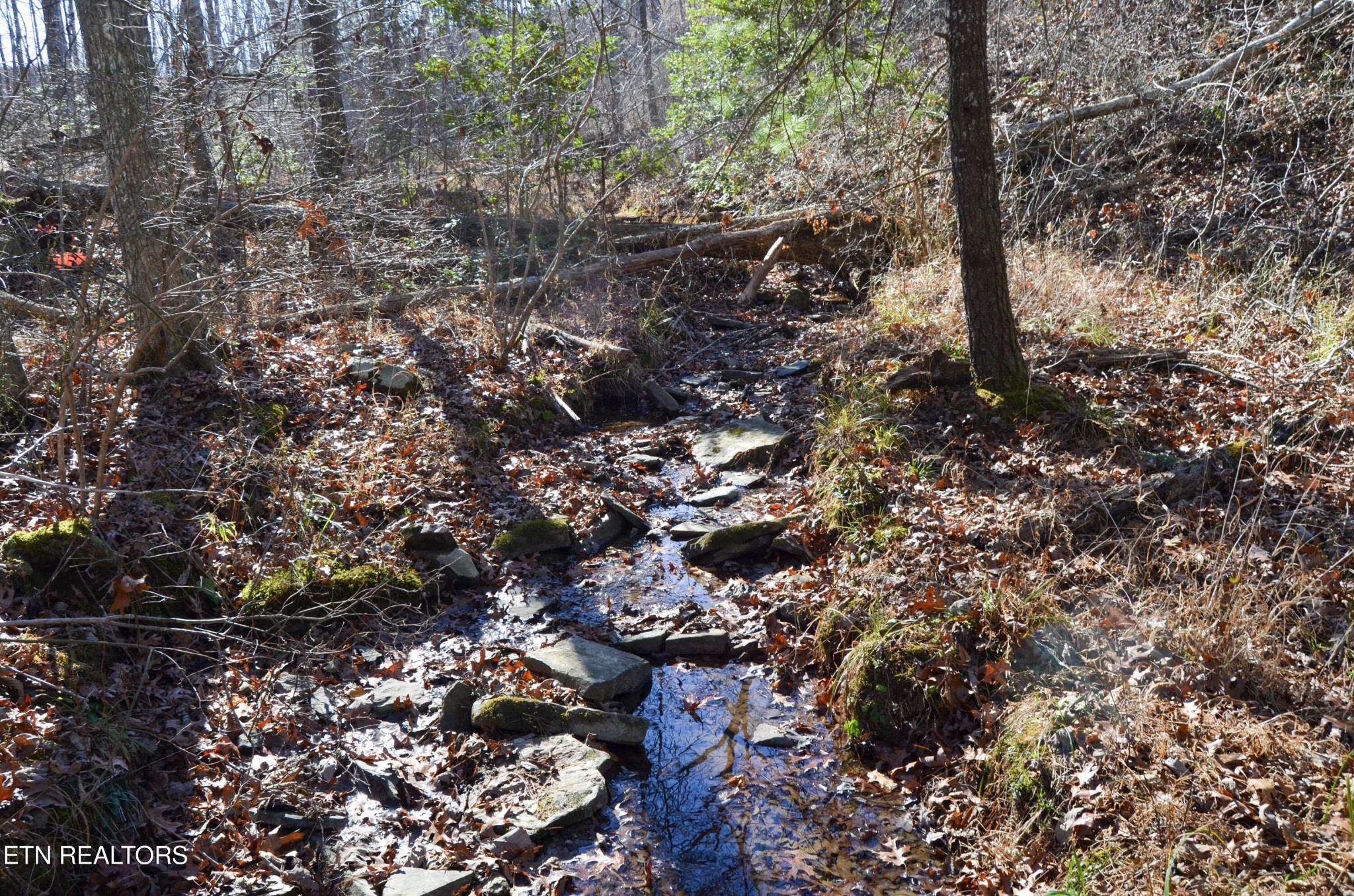 0 Sparta Highway 63.3 Acres Crossville TN 38555