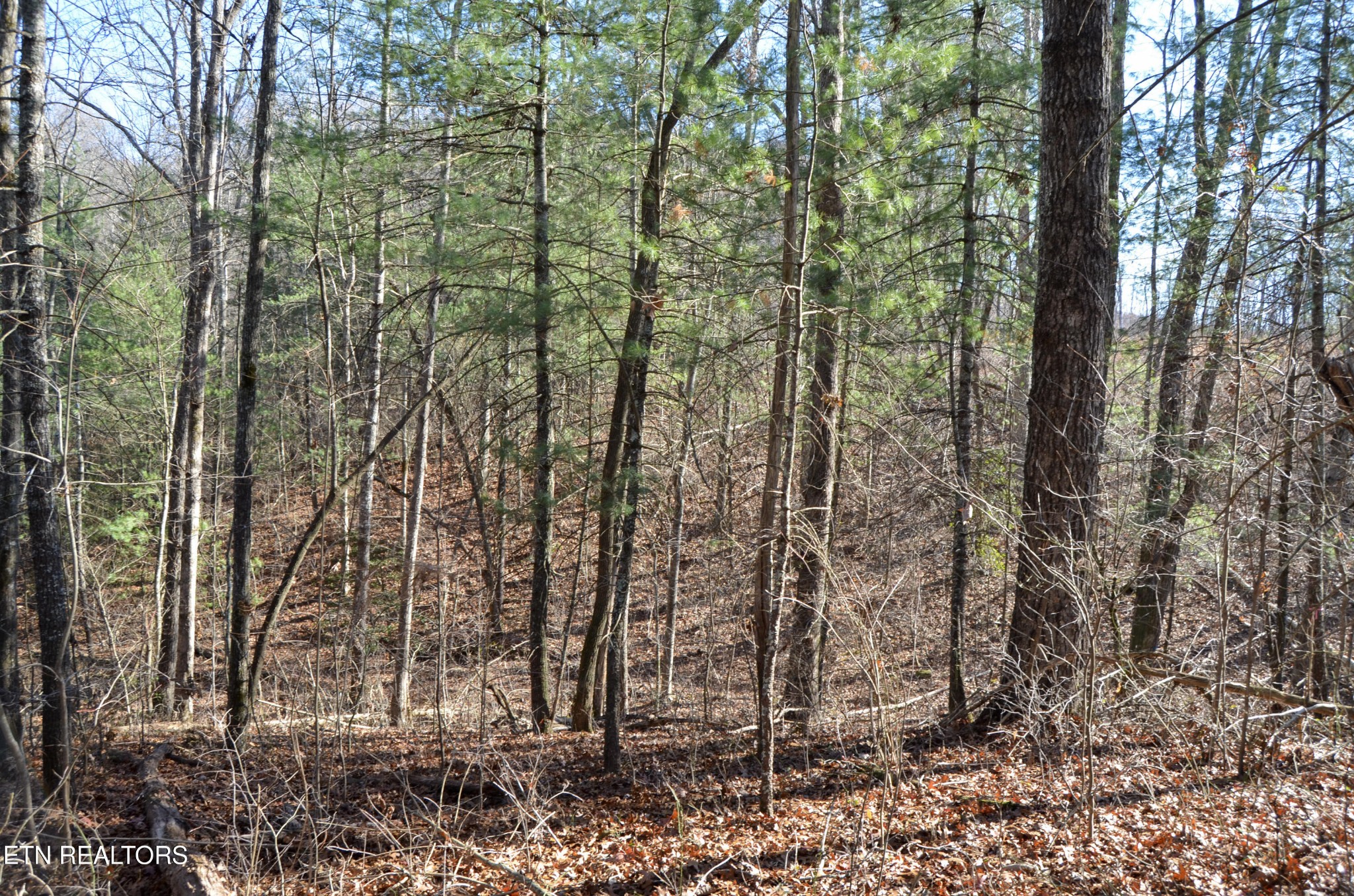0 Sparta Highway 63.3 Acres Crossville TN 38555