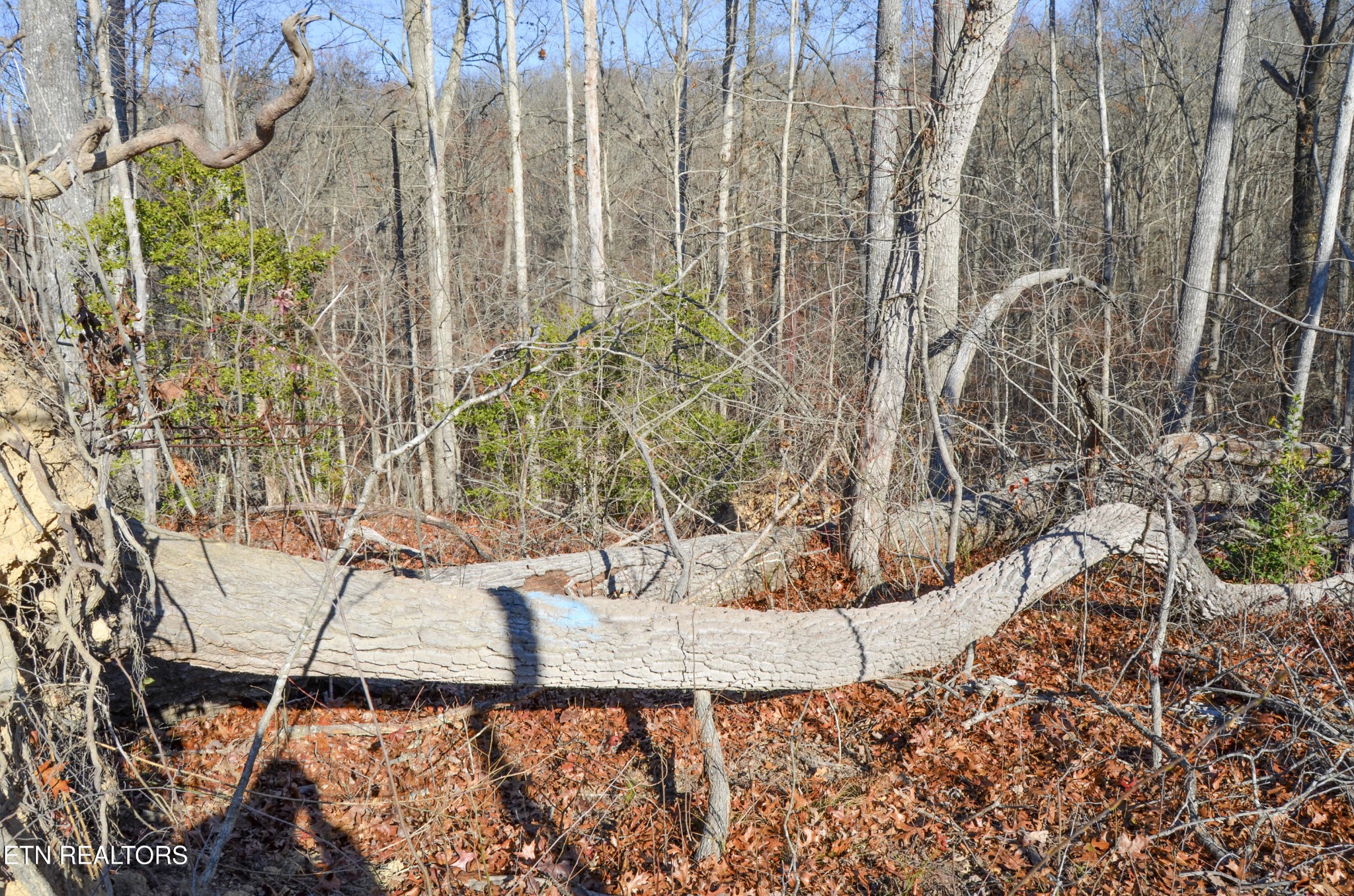 0 Sparta Highway 63.3 Acres Crossville TN 38555