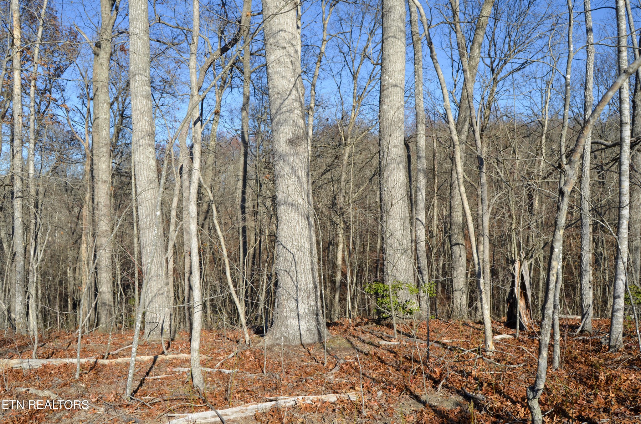 0 Sparta Highway 63.3 Acres Crossville TN 38555