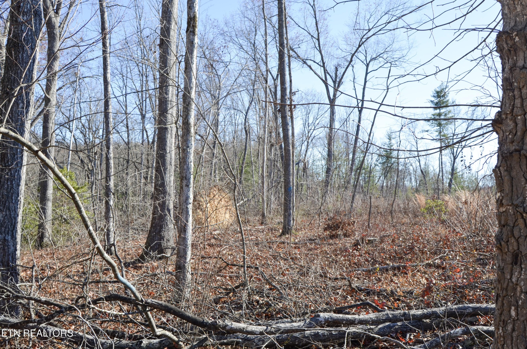 0 Sparta Highway 63.3 Acres Crossville TN 38555
