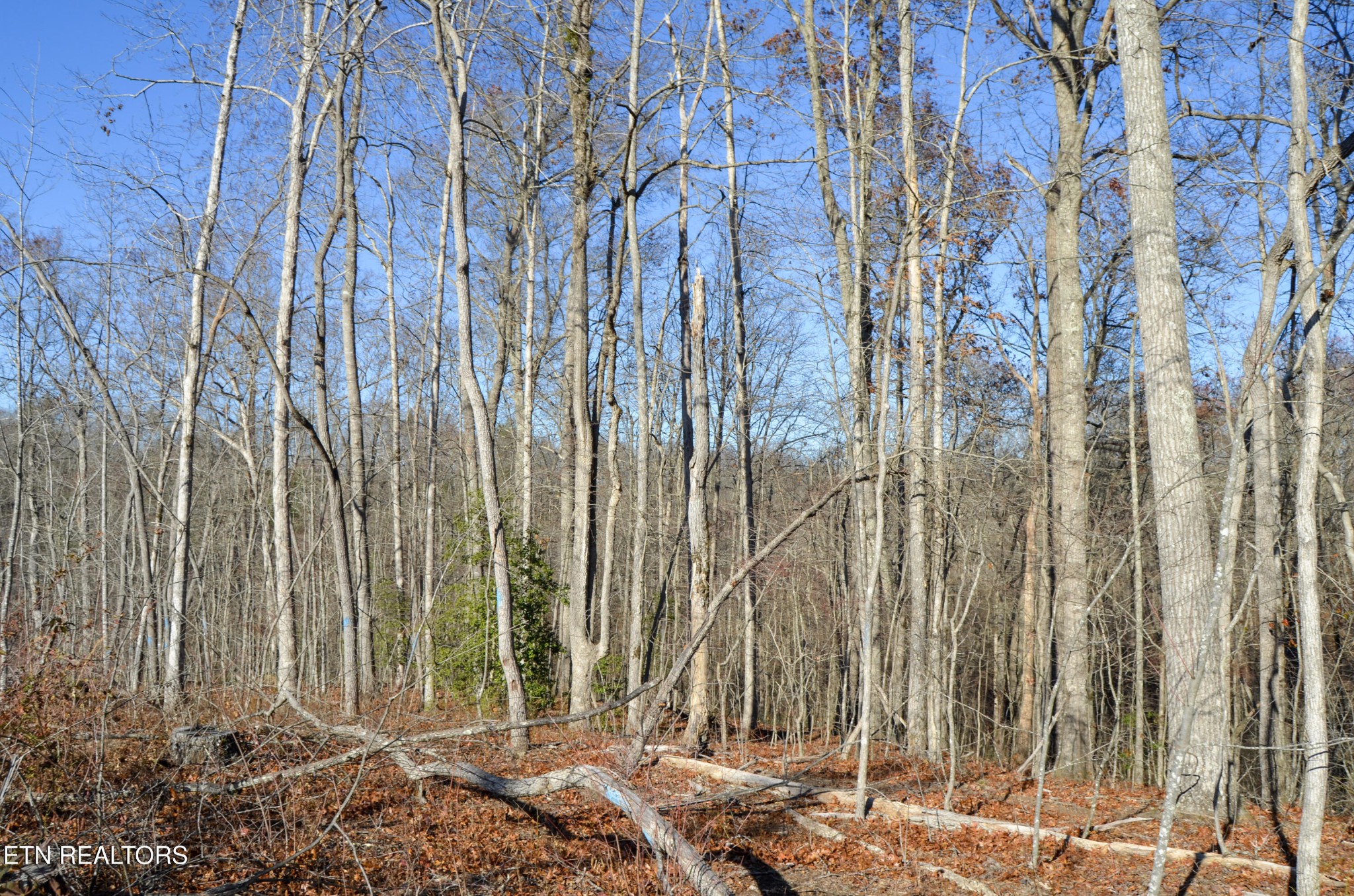 0 Sparta Highway 63.3 Acres Crossville TN 38555