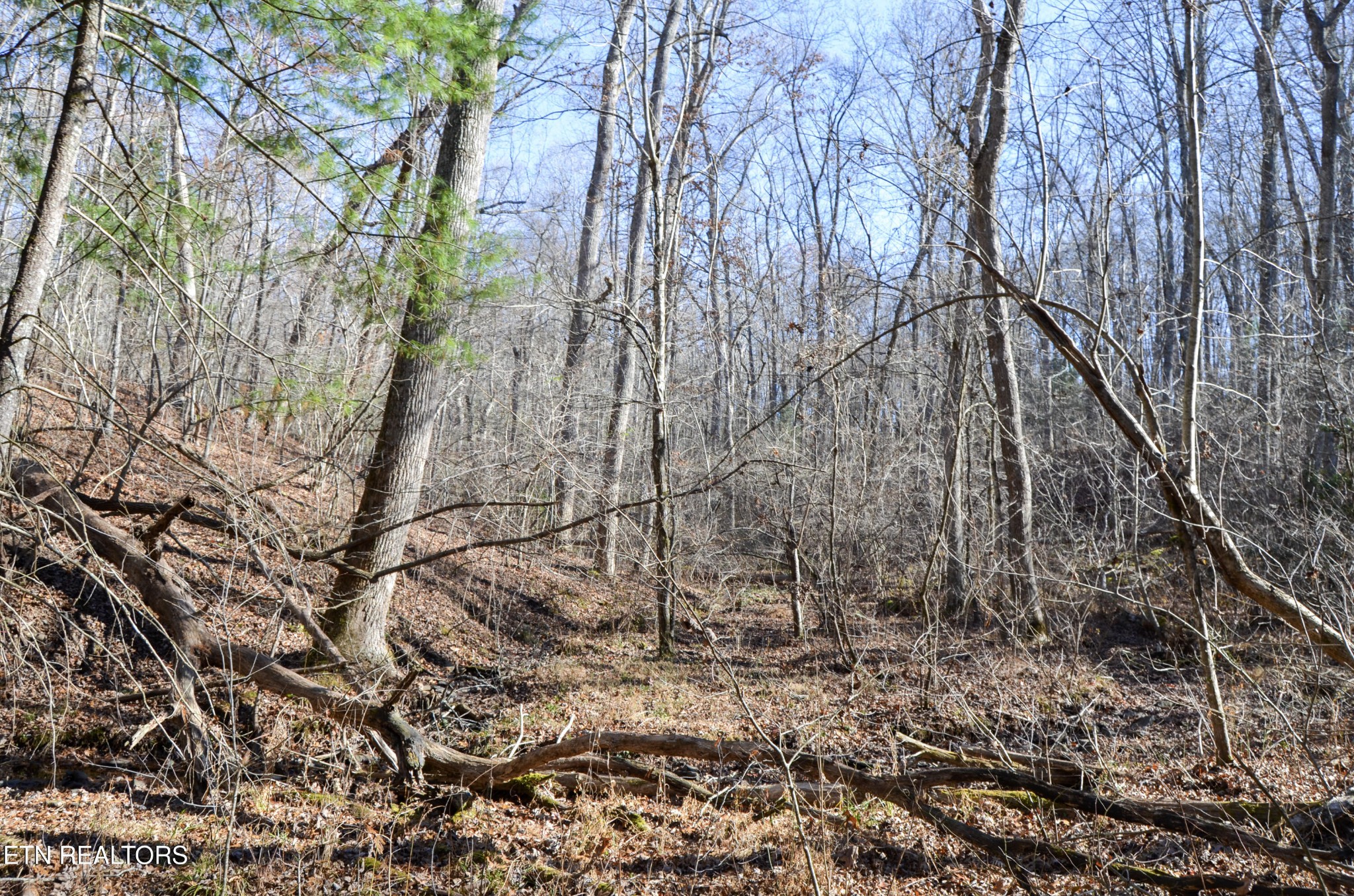 0 Sparta Highway 63.3 Acres Crossville TN 38555
