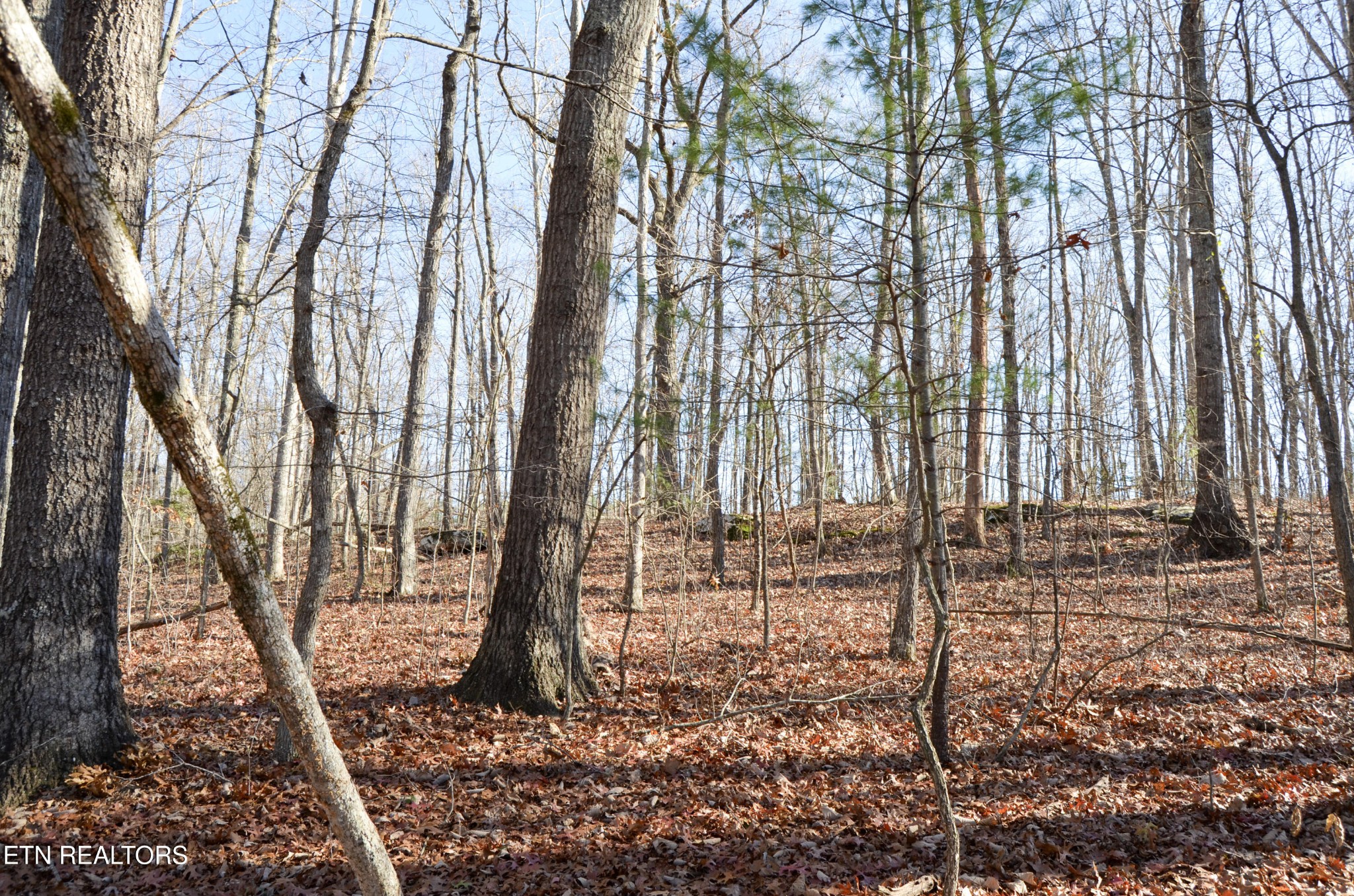 0 Sparta Highway 63.3 Acres Crossville TN 38555