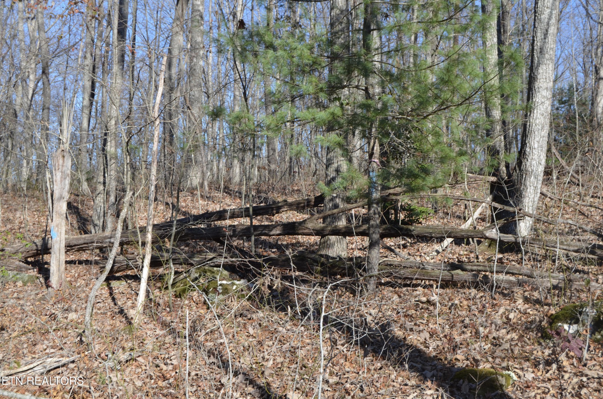 0 Sparta Highway 63.3 Acres Crossville TN 38555