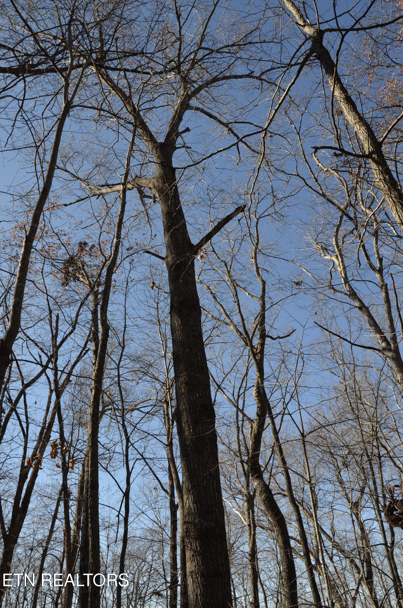 0 Sparta Highway 63.3 Acres Crossville TN 38555