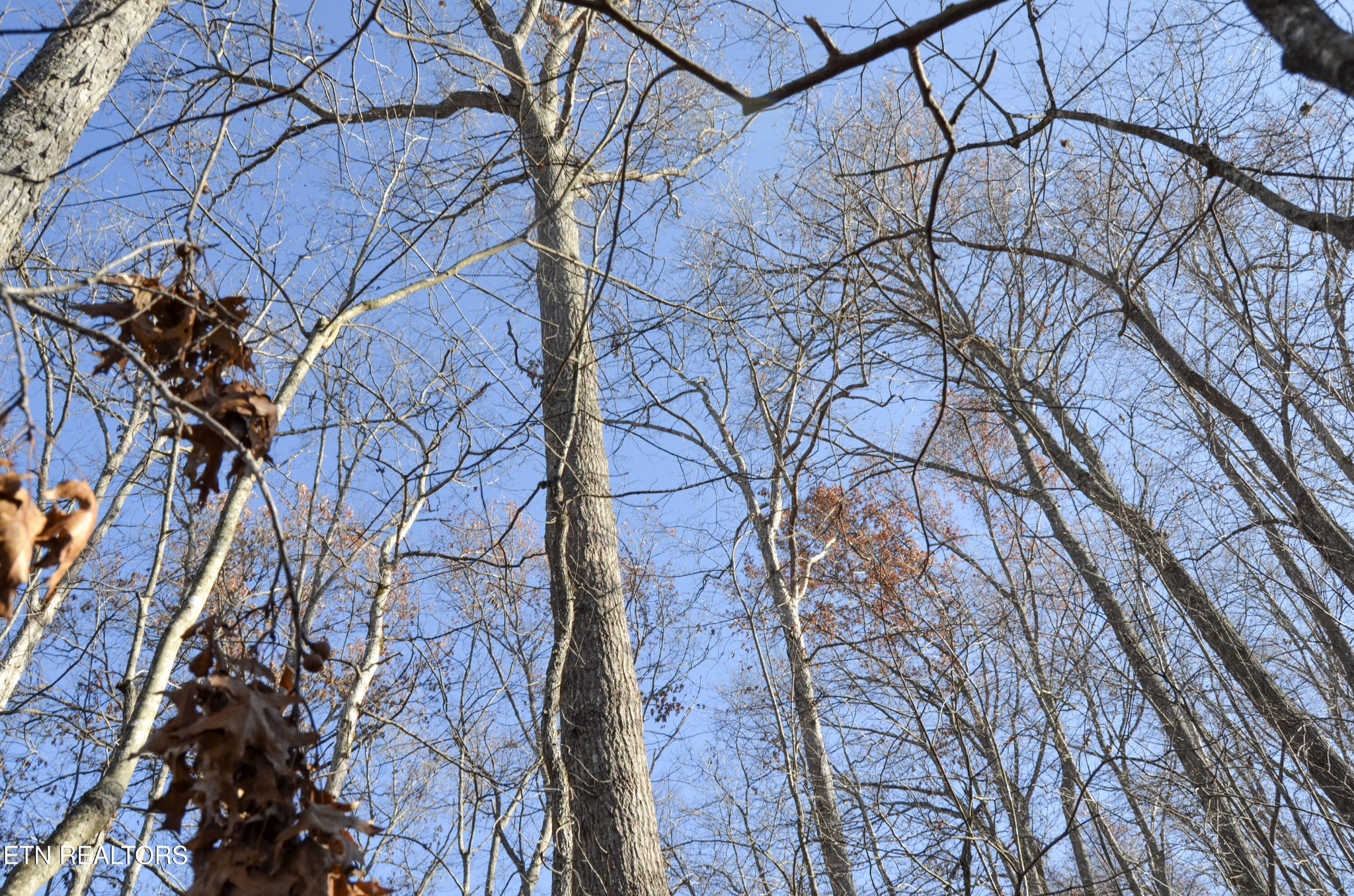 0 Sparta Highway 63.3 Acres Crossville TN 38555