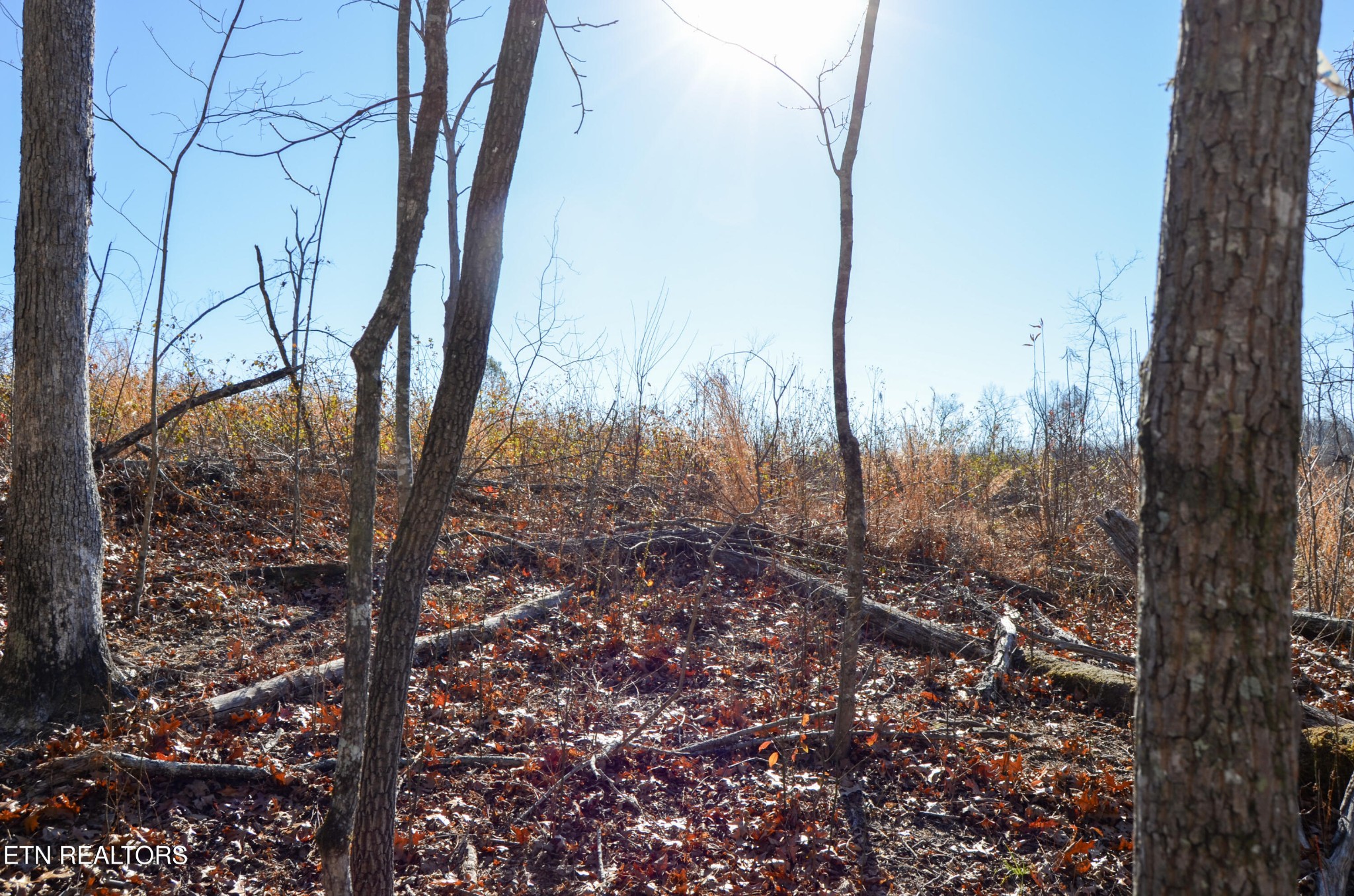 0 Sparta Highway 63.3 Acres Crossville TN 38555