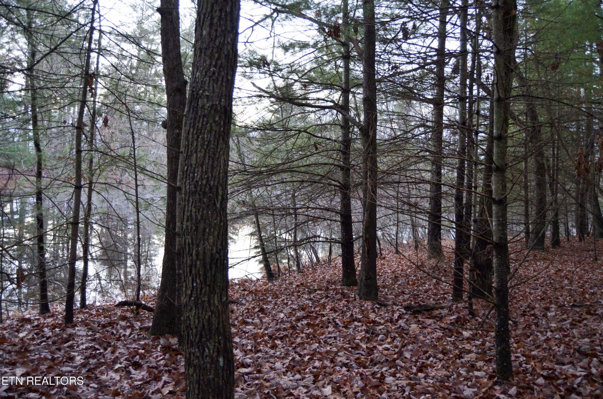 0 Sparta Highway 63.3 Acres Crossville TN 38555