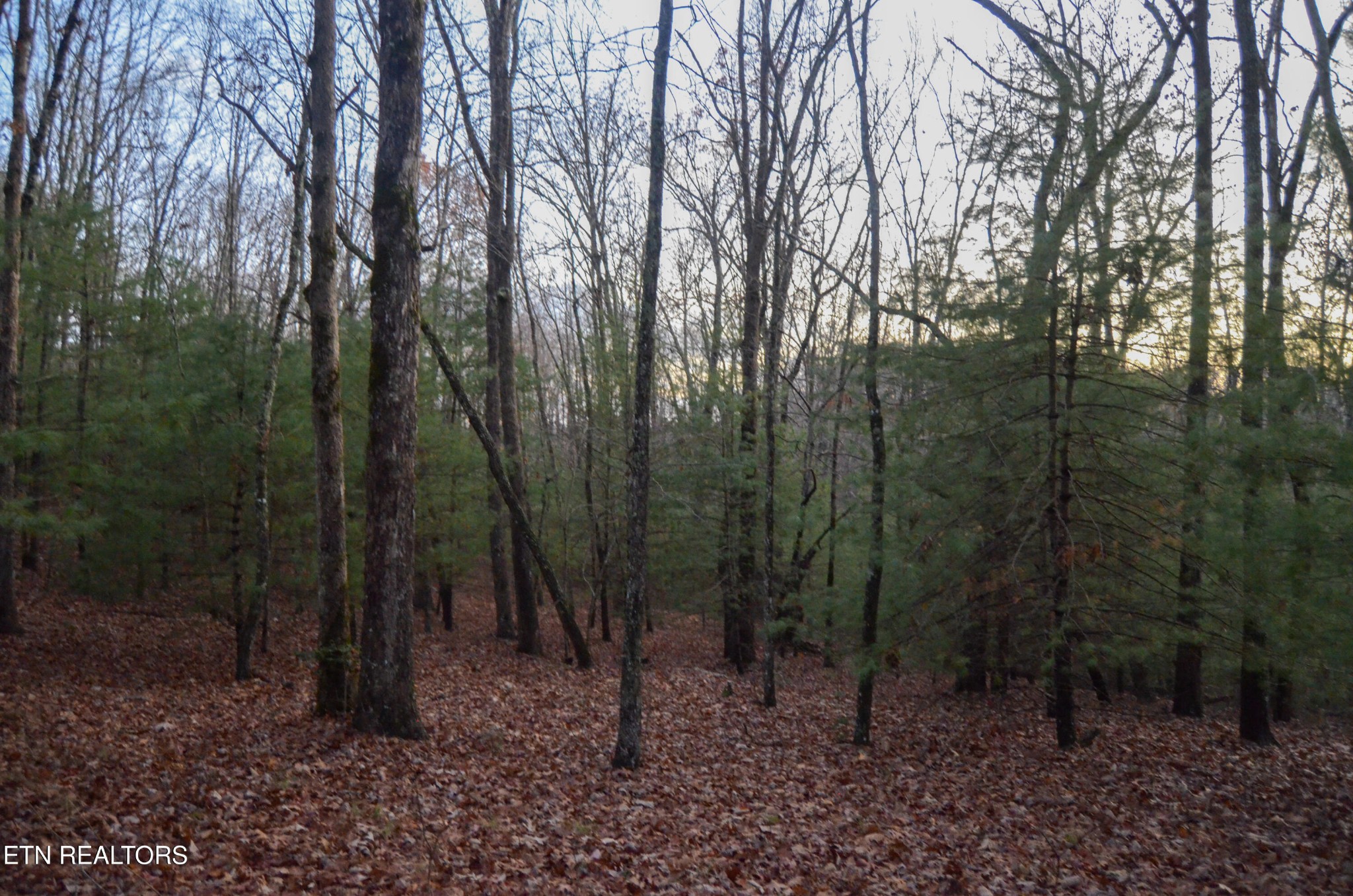 0 Sparta Highway 63.3 Acres Crossville TN 38555