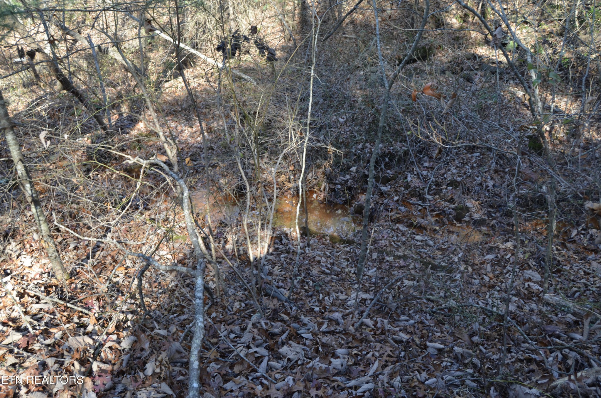 0 Sparta Highway 63.3 Acres Crossville TN 38555