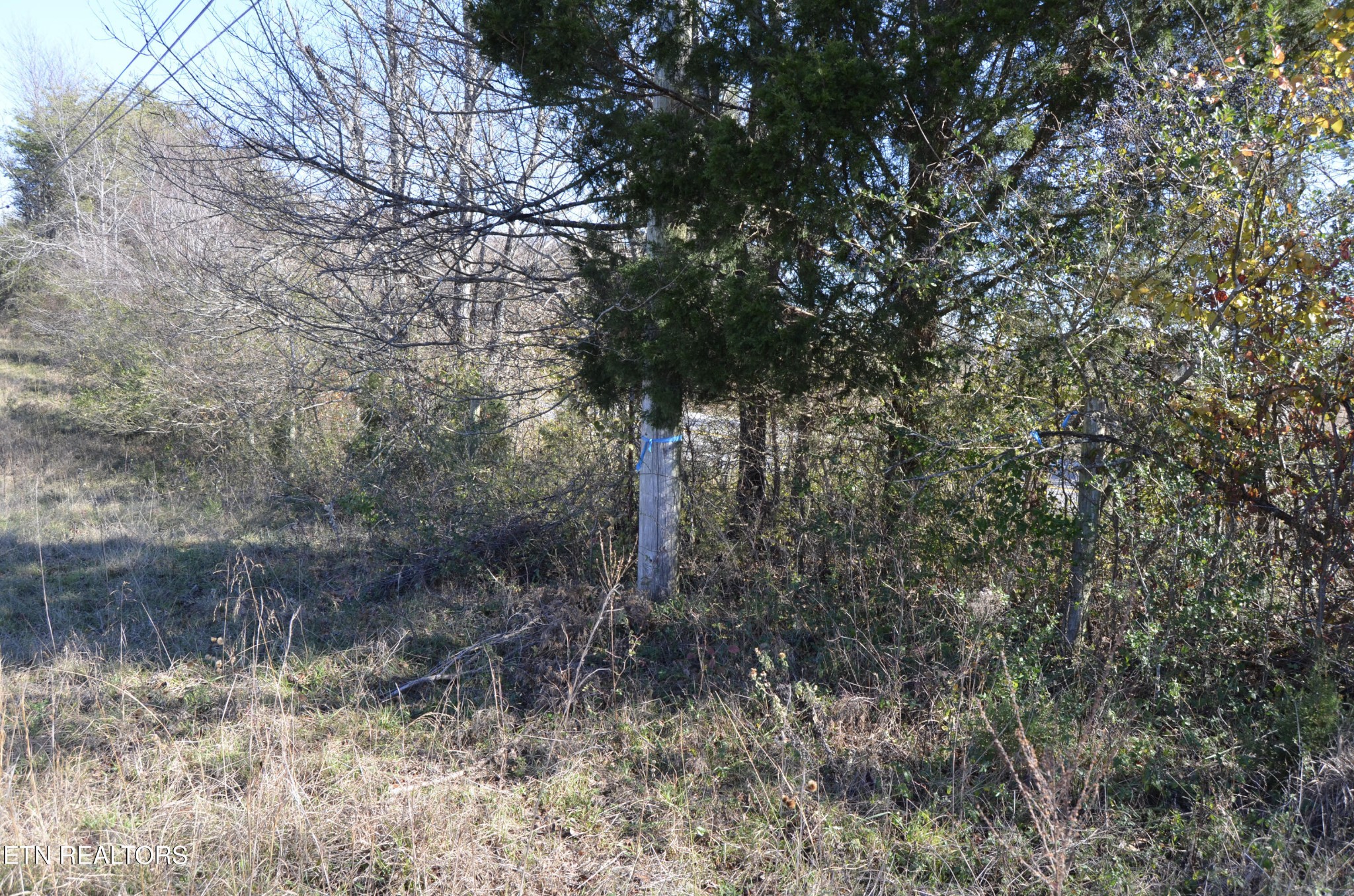 0 Sparta Highway 63.3 Acres Crossville TN 38555