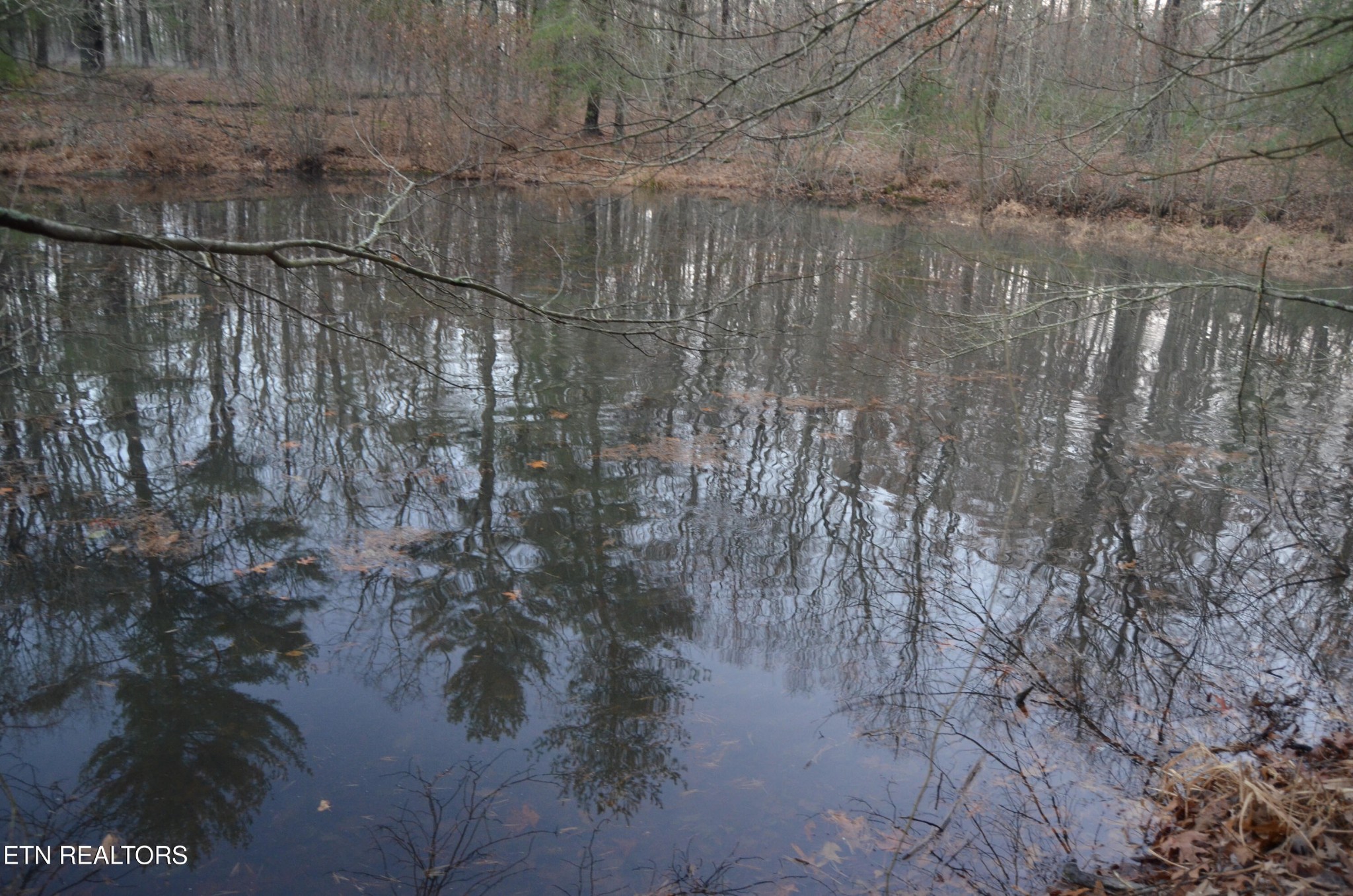 0 Sparta Highway 63.3 Acres Crossville TN 38555
