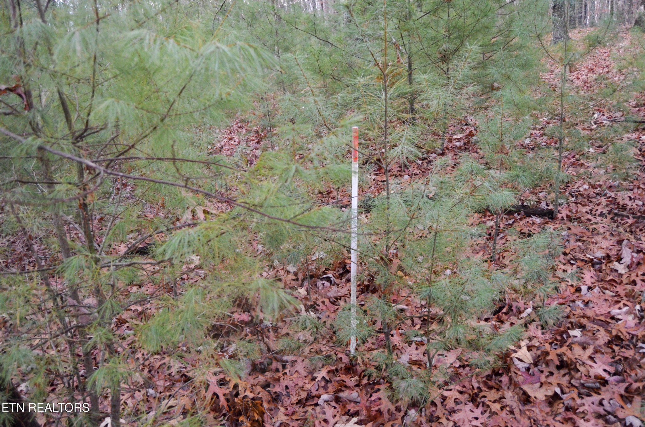 0 Sparta Highway 63.3 Acres Crossville TN 38555