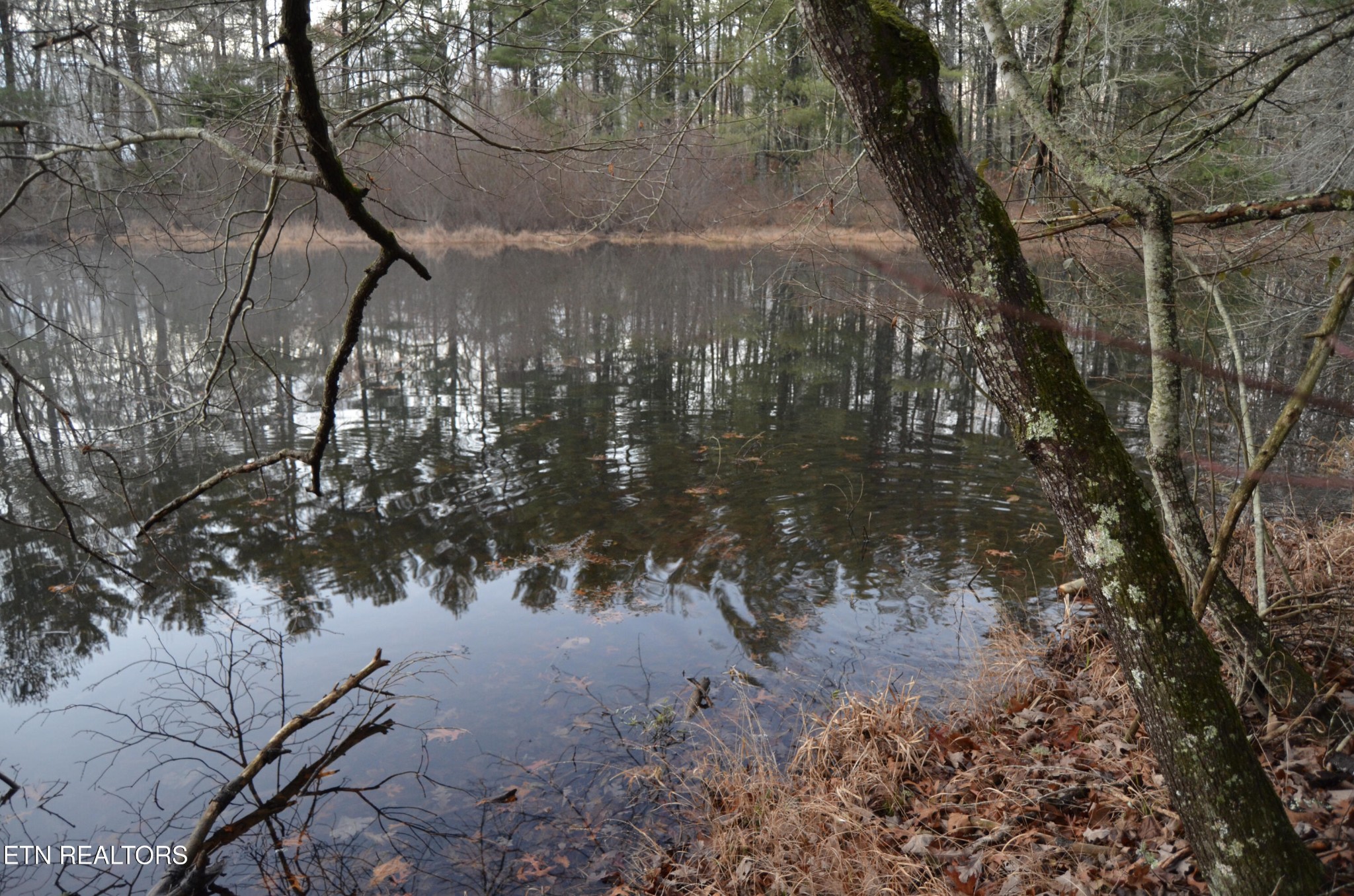 0 Sparta Highway 63.3 Acres Crossville TN 38555