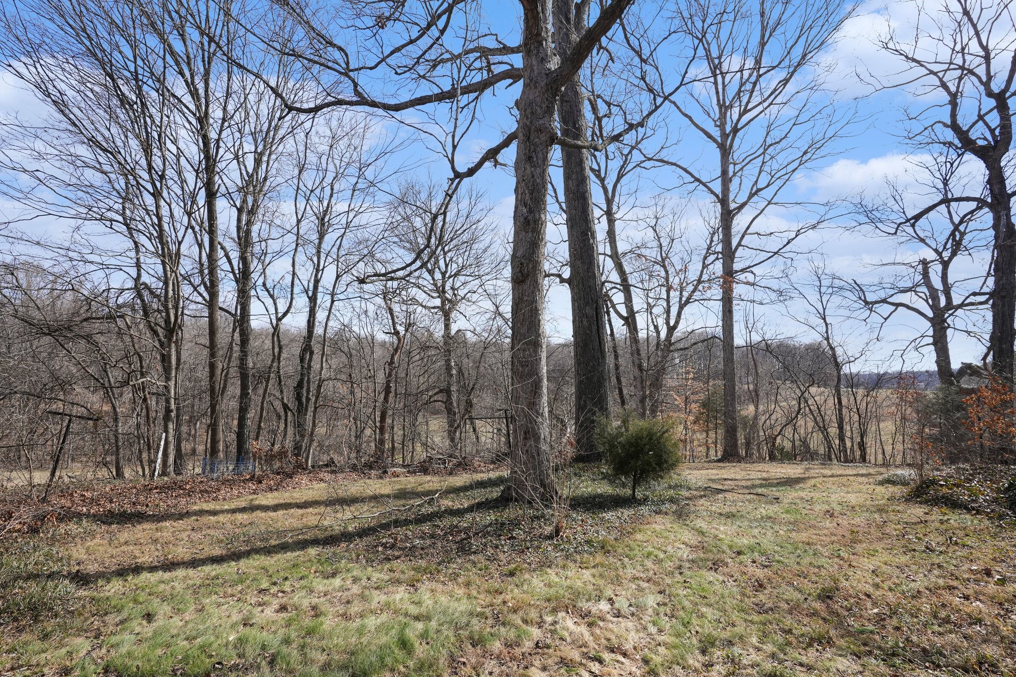 5572 Highway 76e Springfield TN 37172
