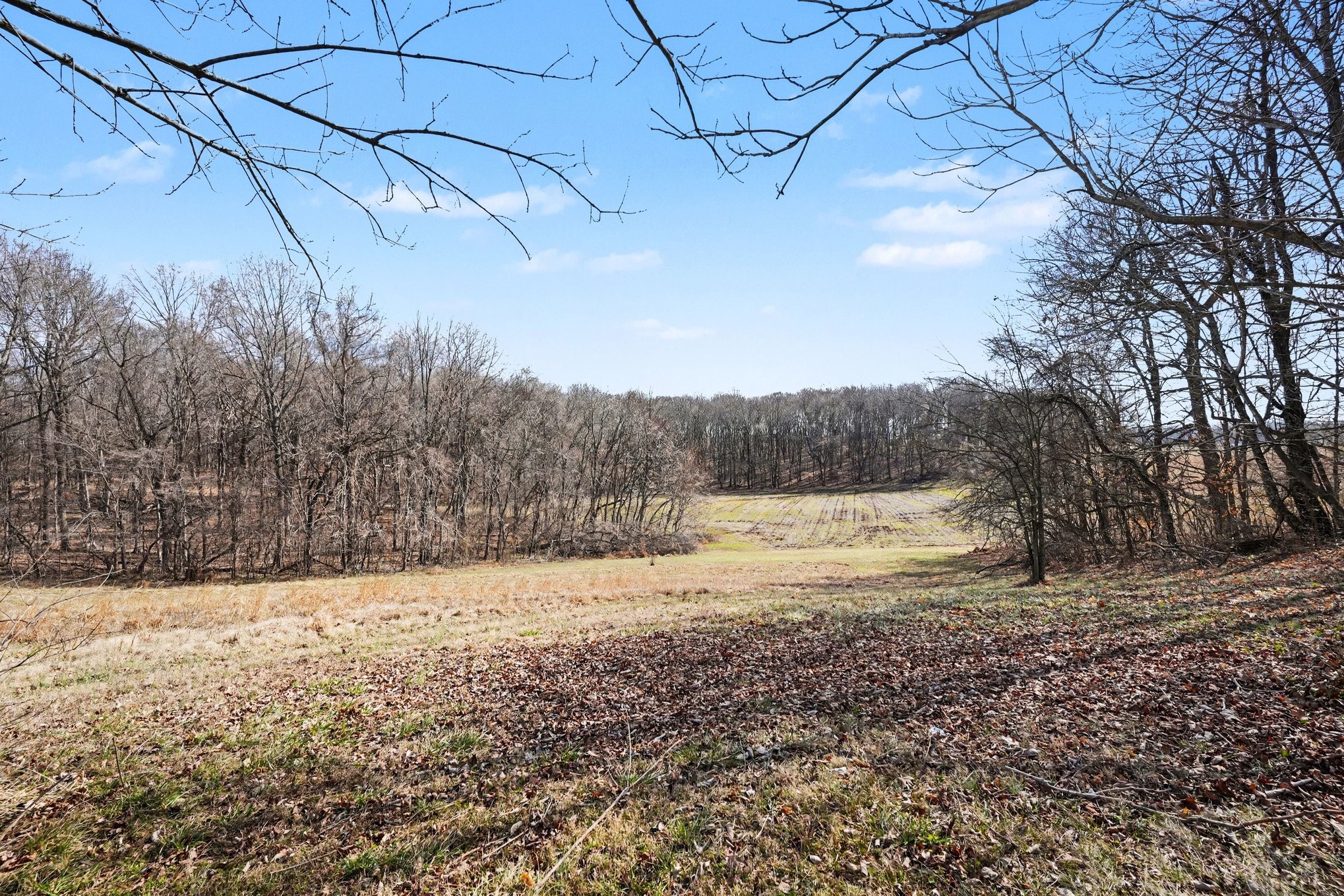 5572 Highway 76e Springfield TN 37172