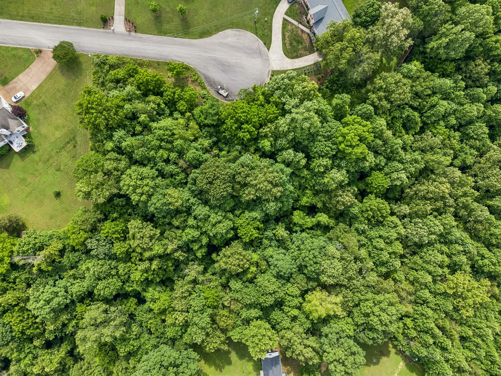 0 Rustling Oaks Court Pleasant View TN 37146