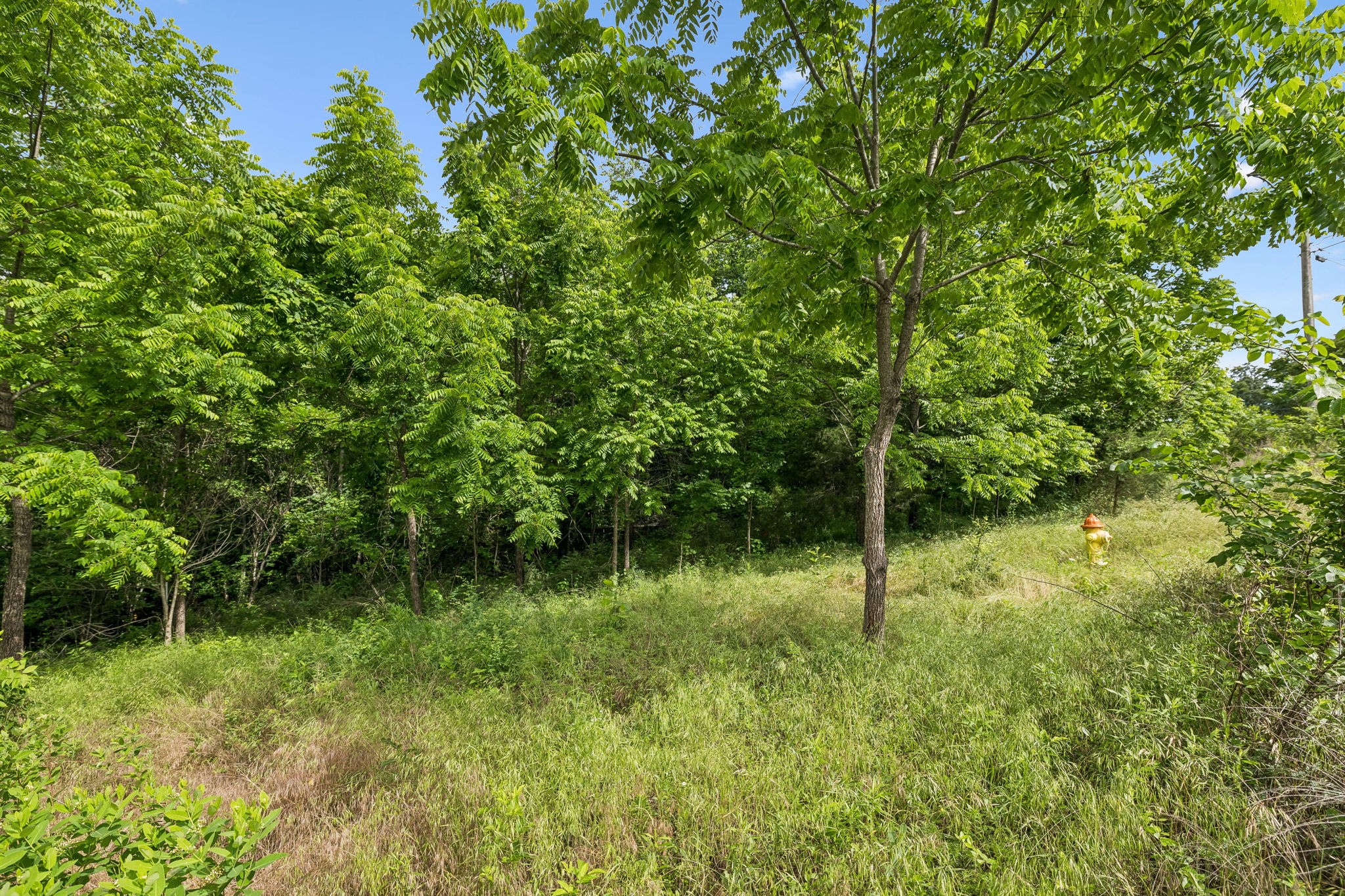 0 Rustling Oaks Court Pleasant View TN 37146