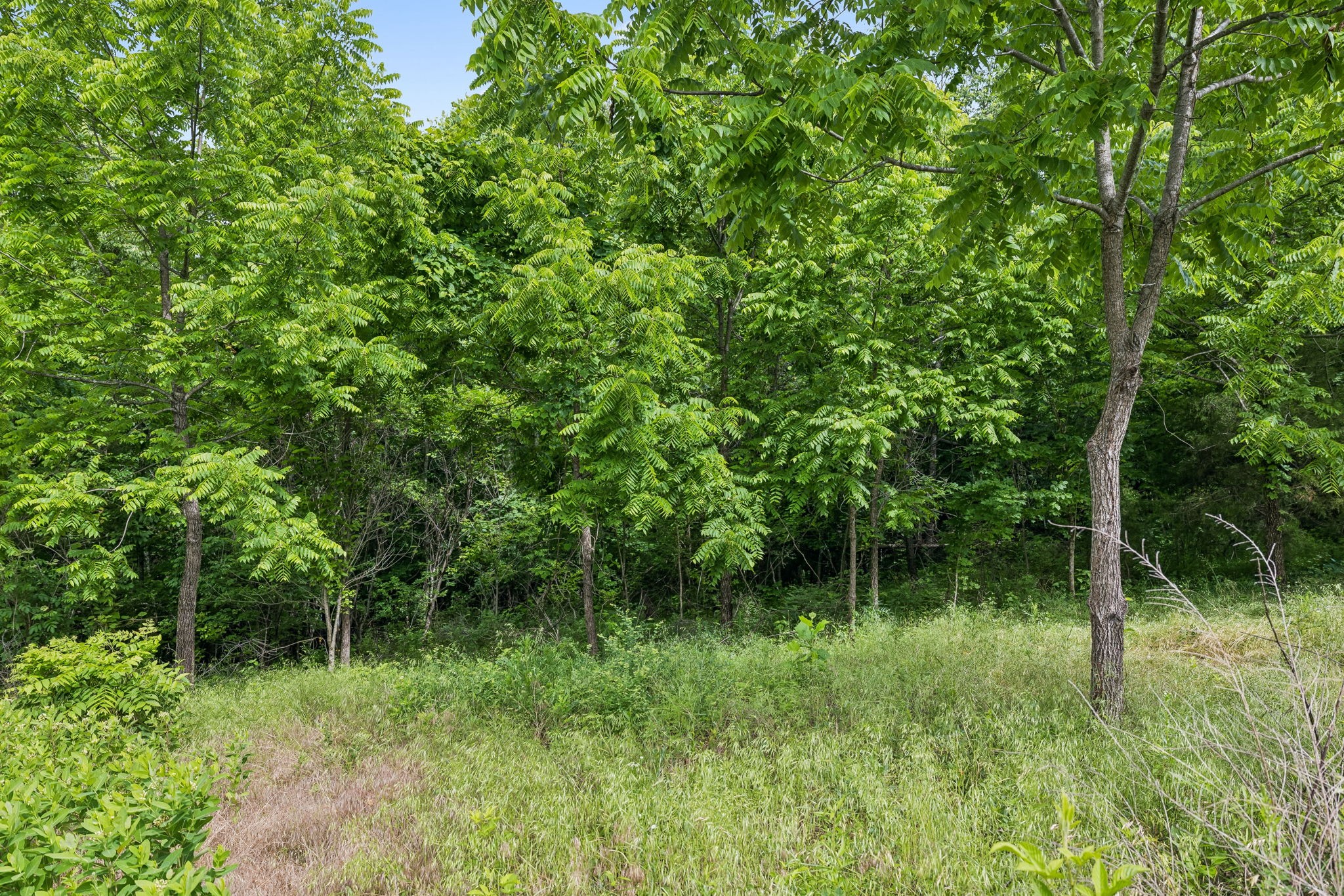 0 Rustling Oaks Court Pleasant View TN 37146