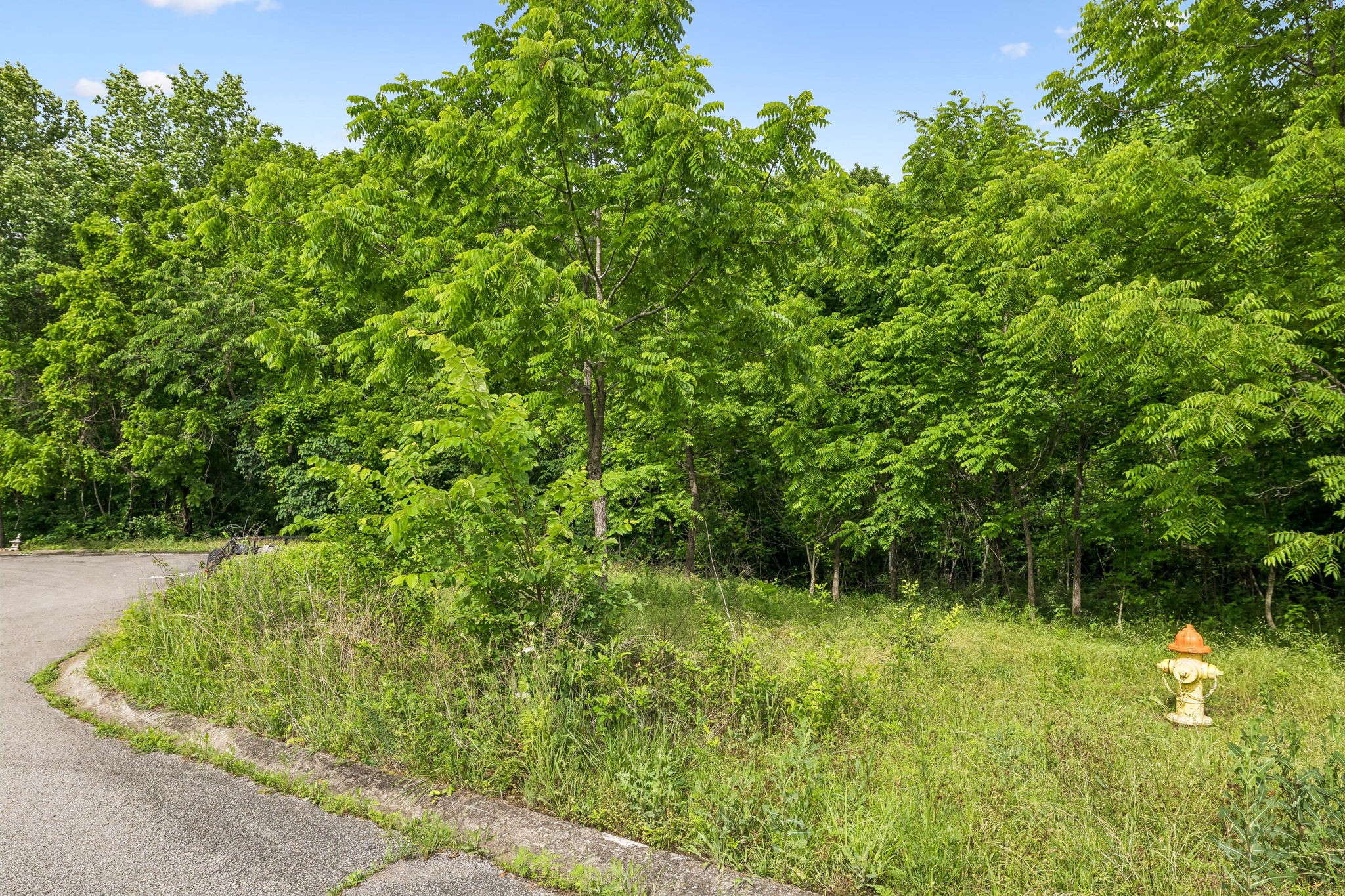 0 Rustling Oaks Court Pleasant View TN 37146