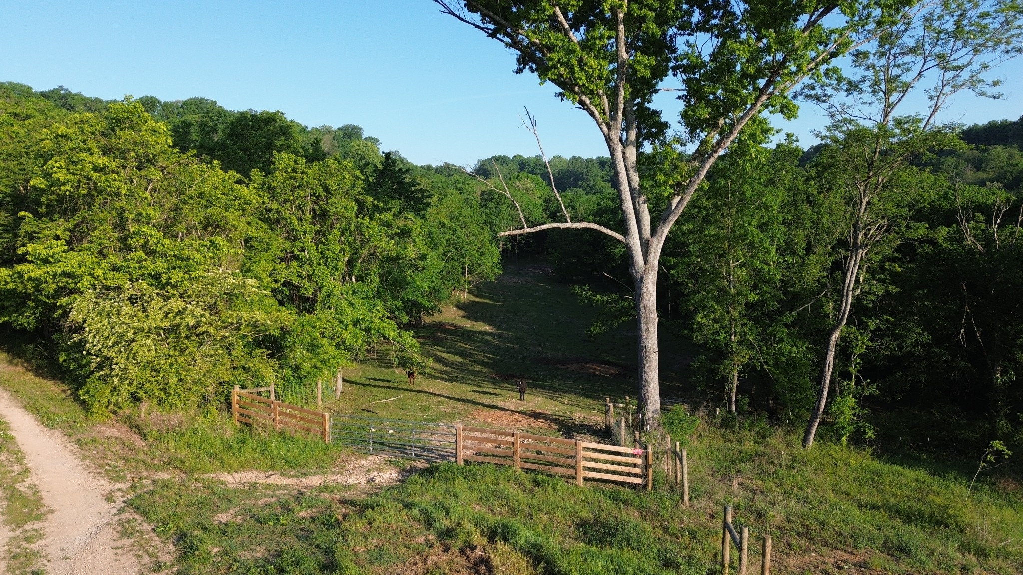 1820 New Highway 7 Columbia TN 38401