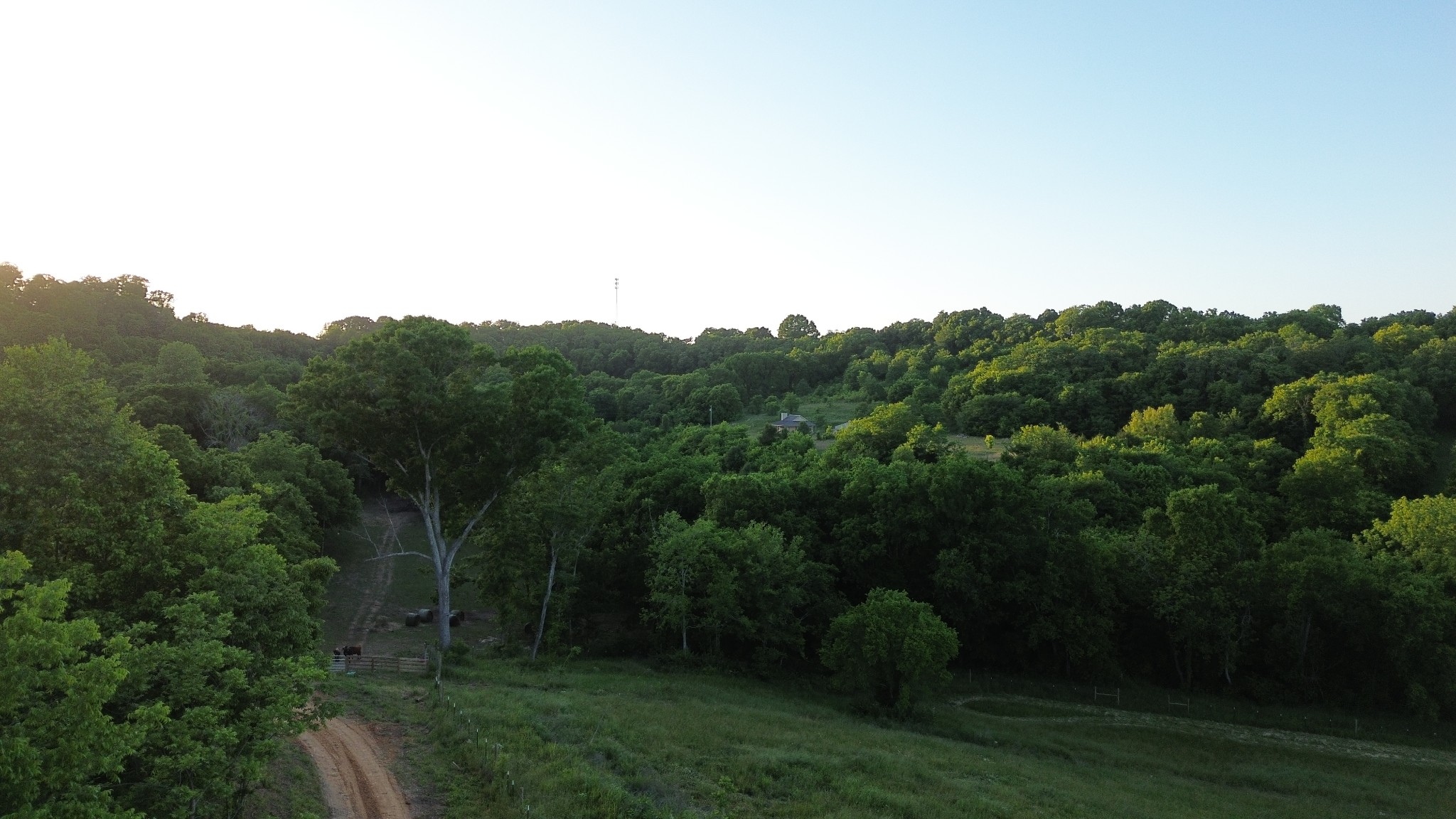 1820 New Highway 7 Columbia TN 38401