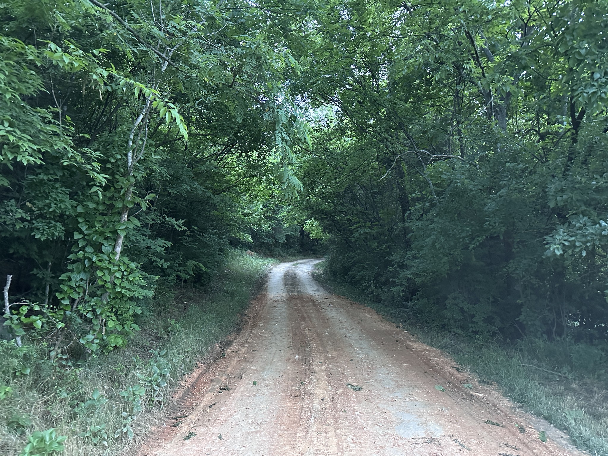 1820 New Highway 7 Columbia TN 38401